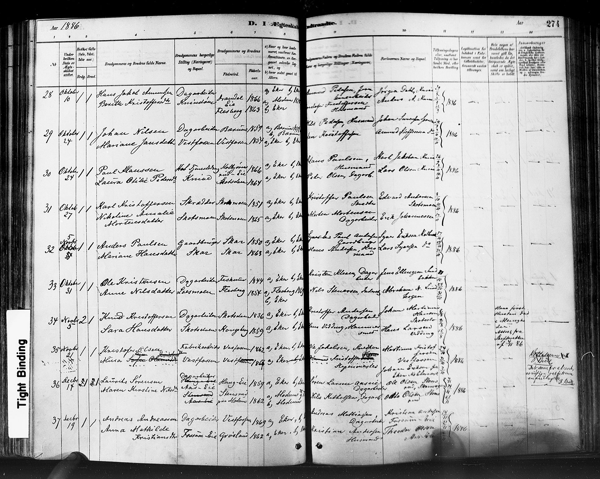 Eiker kirkebøker, AV/SAKO-A-4/F/Fb/L0001: Parish register (official) no. II 1, 1878-1888, p. 274