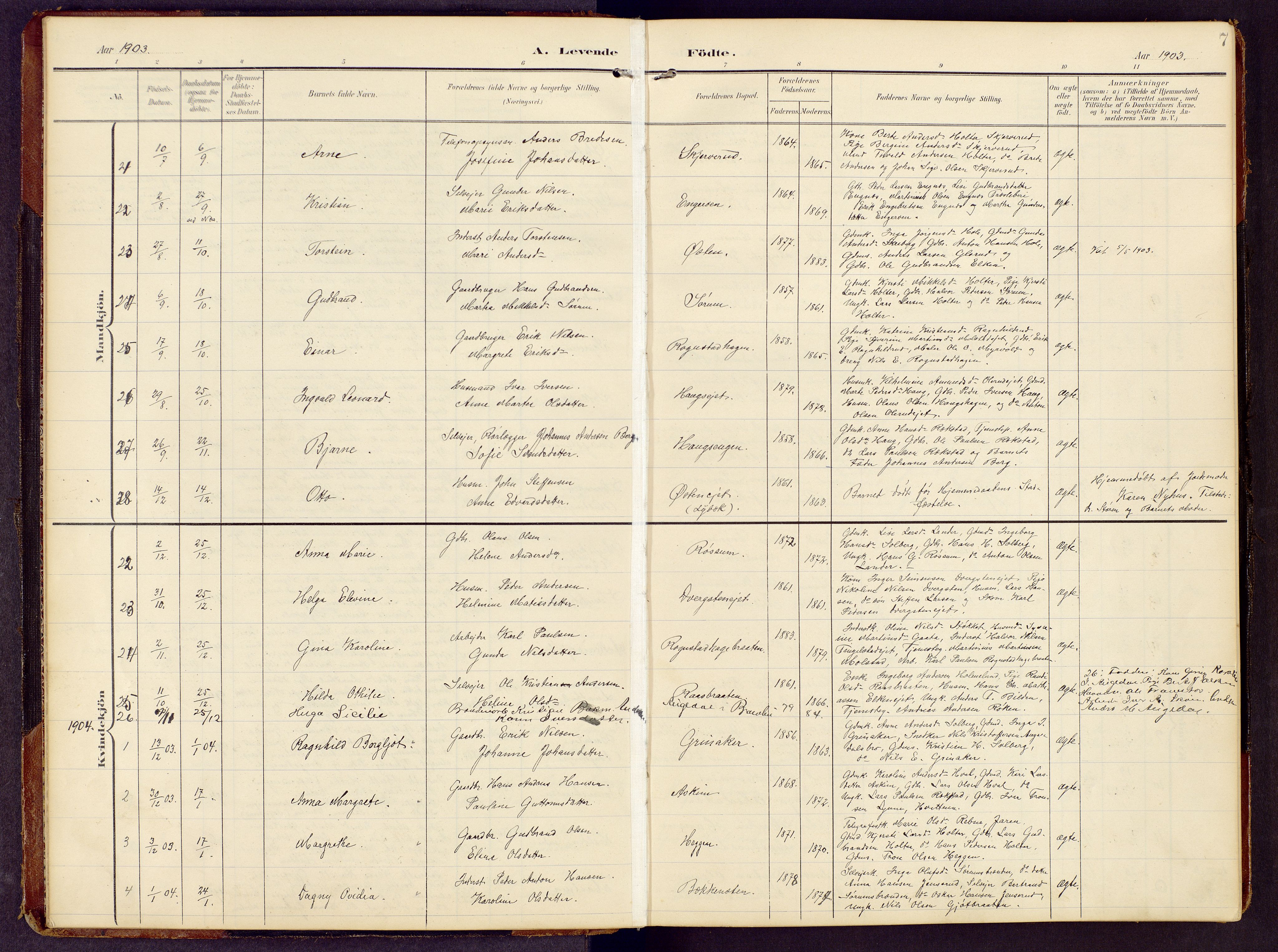 Brandbu prestekontor, SAH/PREST-114/H/Ha/Hab/L0009: Parish register (copy) no. 9, 1903-1916, p. 7