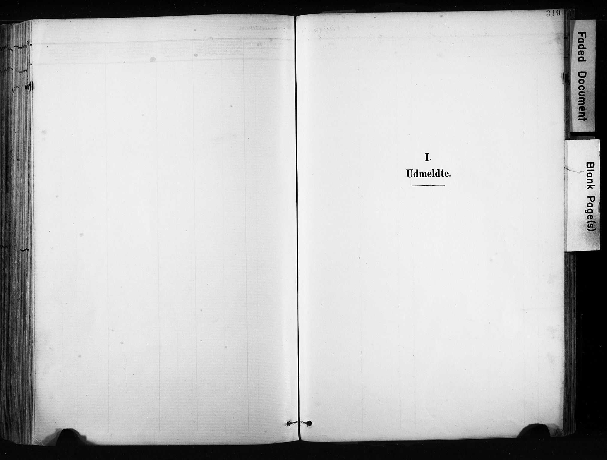 Ministerialprotokoller, klokkerbøker og fødselsregistre - Nordland, AV/SAT-A-1459/880/L1134: Parish register (official) no. 880A08, 1899-1908, p. 319