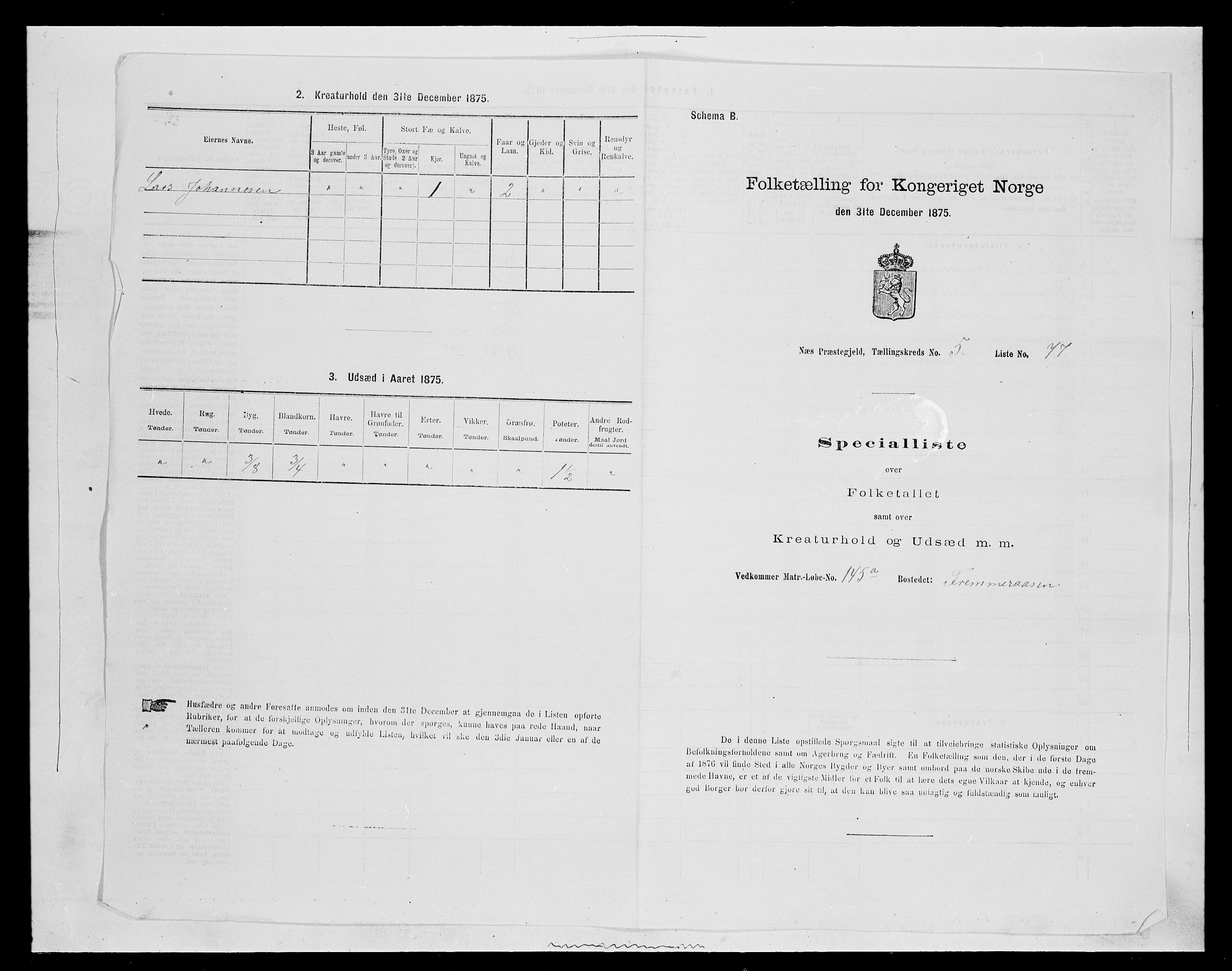 SAH, 1875 census for 0411P Nes, 1875, p. 939