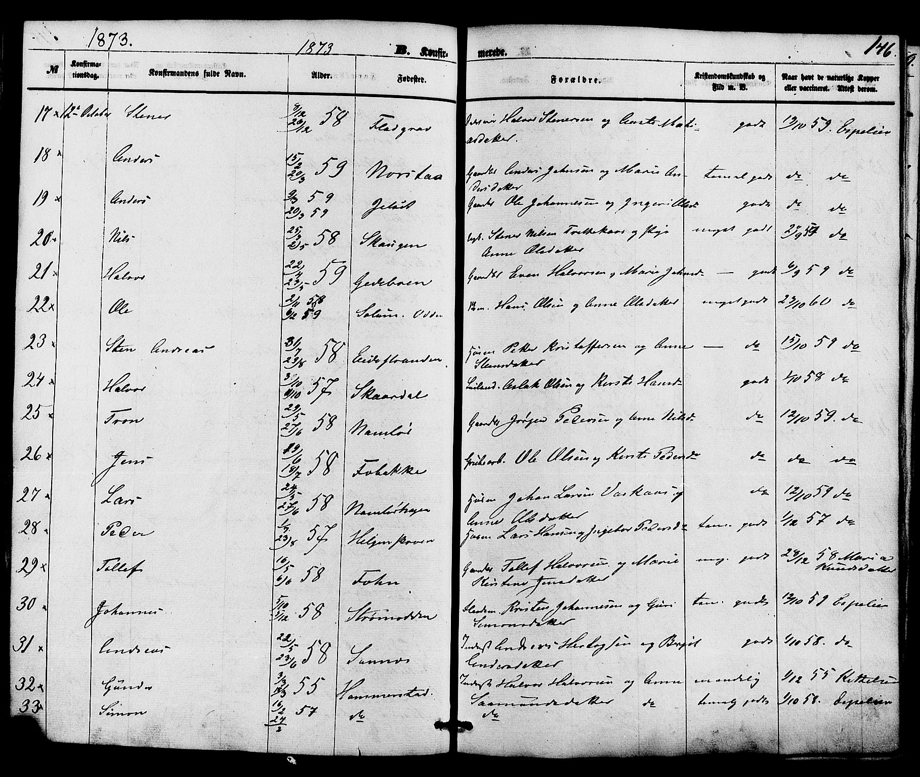 Holla kirkebøker, SAKO/A-272/F/Fa/L0007: Parish register (official) no. 7, 1869-1881, p. 146