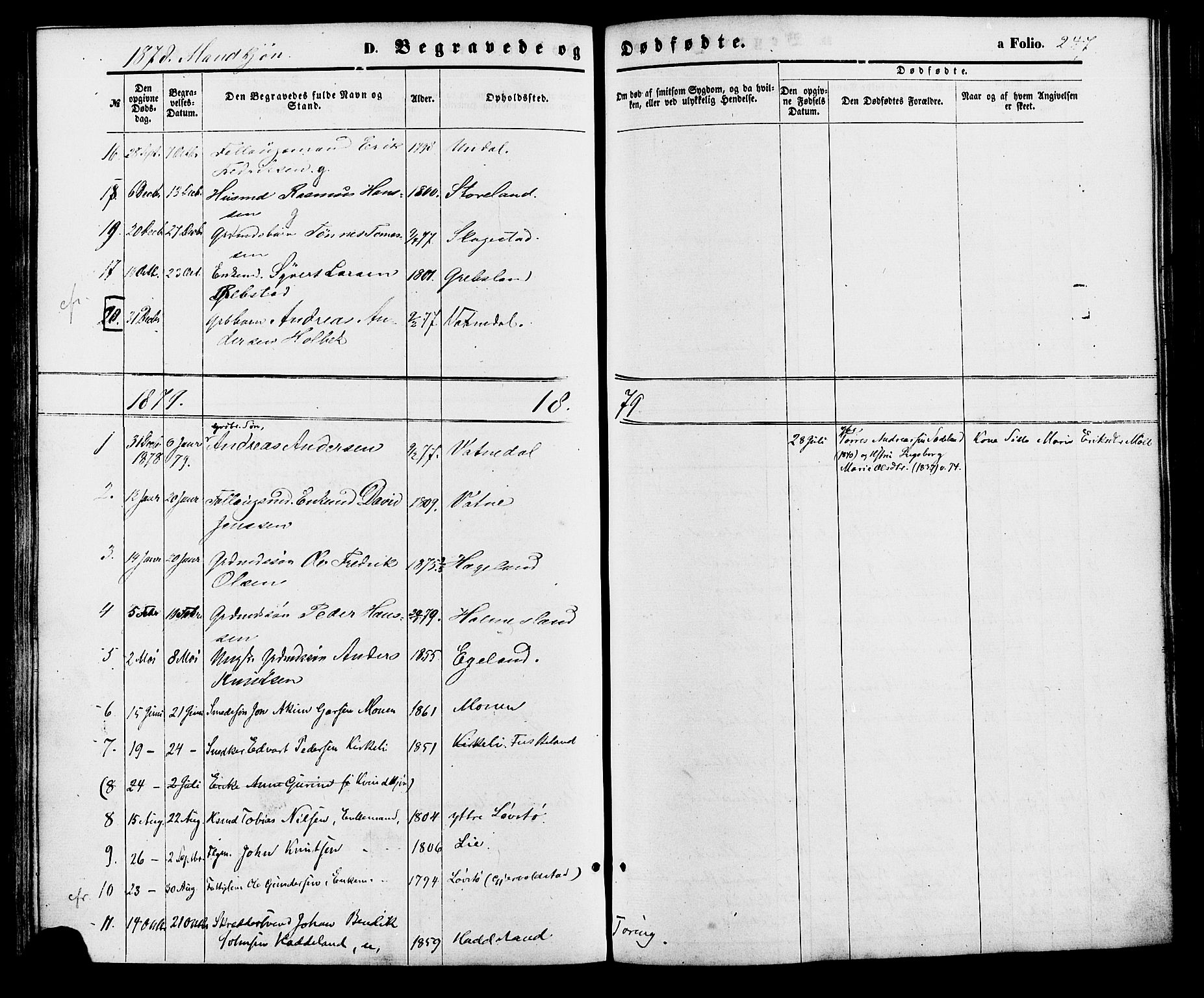 Holum sokneprestkontor, AV/SAK-1111-0022/F/Fa/Faa/L0006: Parish register (official) no. A 6, 1865-1883, p. 248