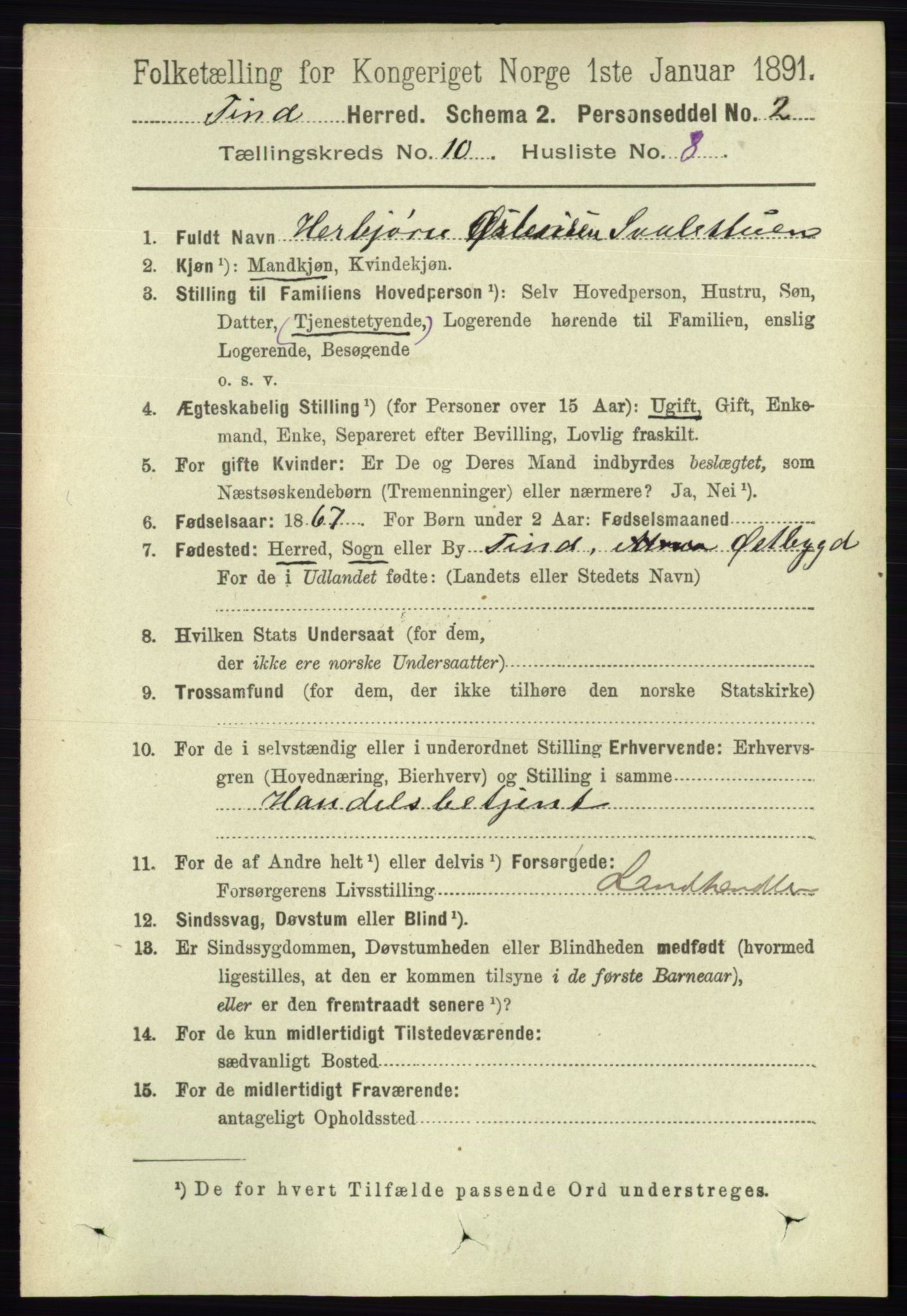 RA, 1891 census for 0826 Tinn, 1891, p. 2015