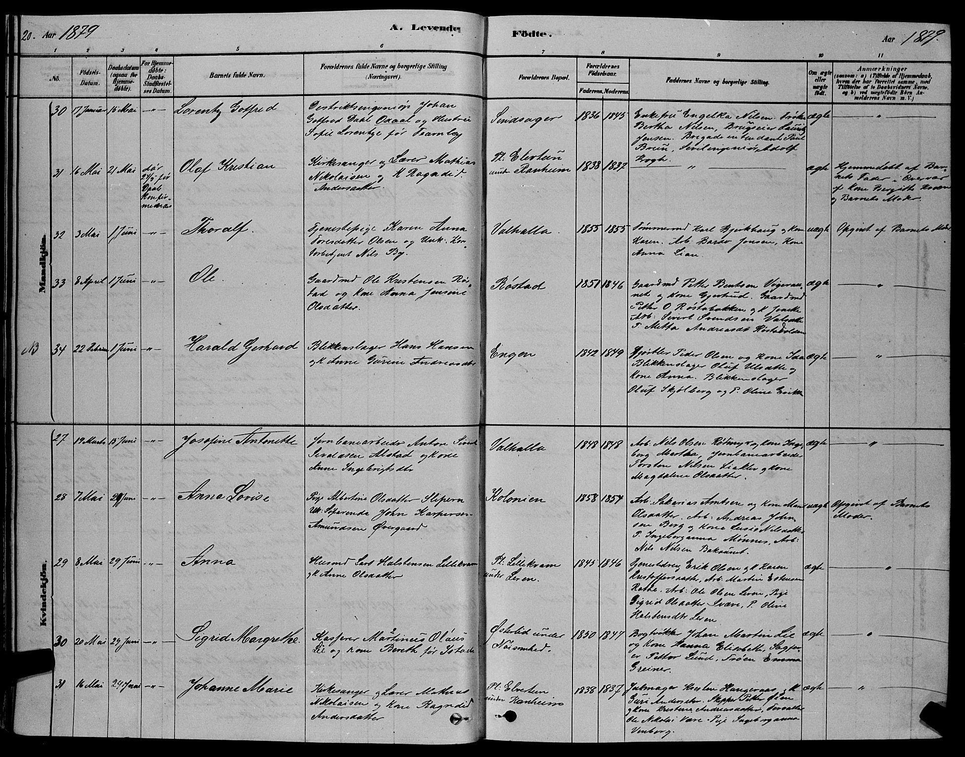 Ministerialprotokoller, klokkerbøker og fødselsregistre - Sør-Trøndelag, SAT/A-1456/606/L0312: Parish register (copy) no. 606C08, 1878-1894, p. 20