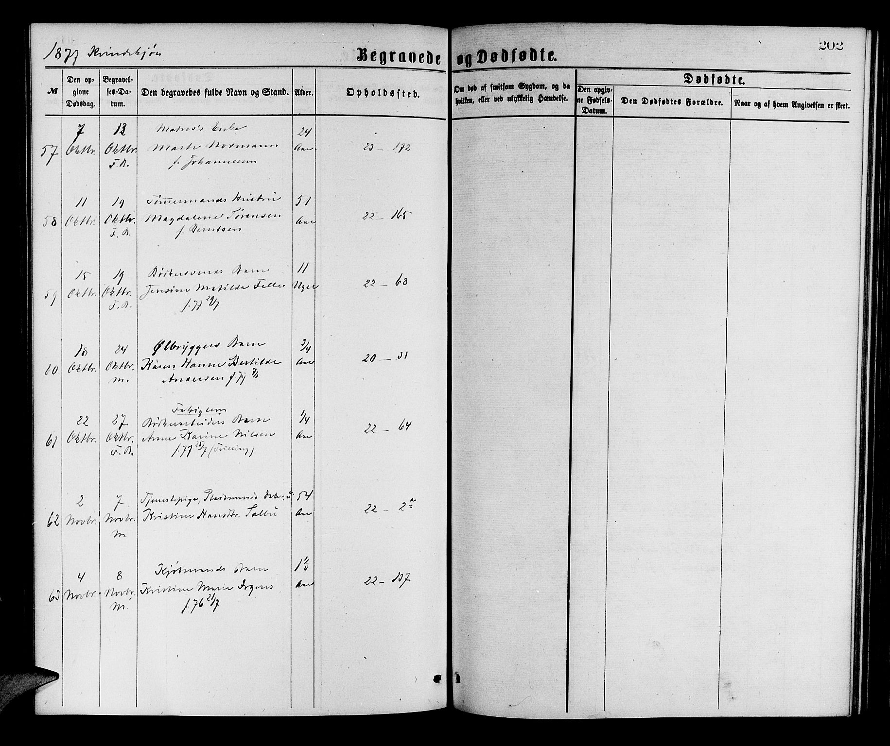 Korskirken sokneprestembete, AV/SAB-A-76101/H/Hab: Parish register (copy) no. E 3, 1871-1883, p. 202