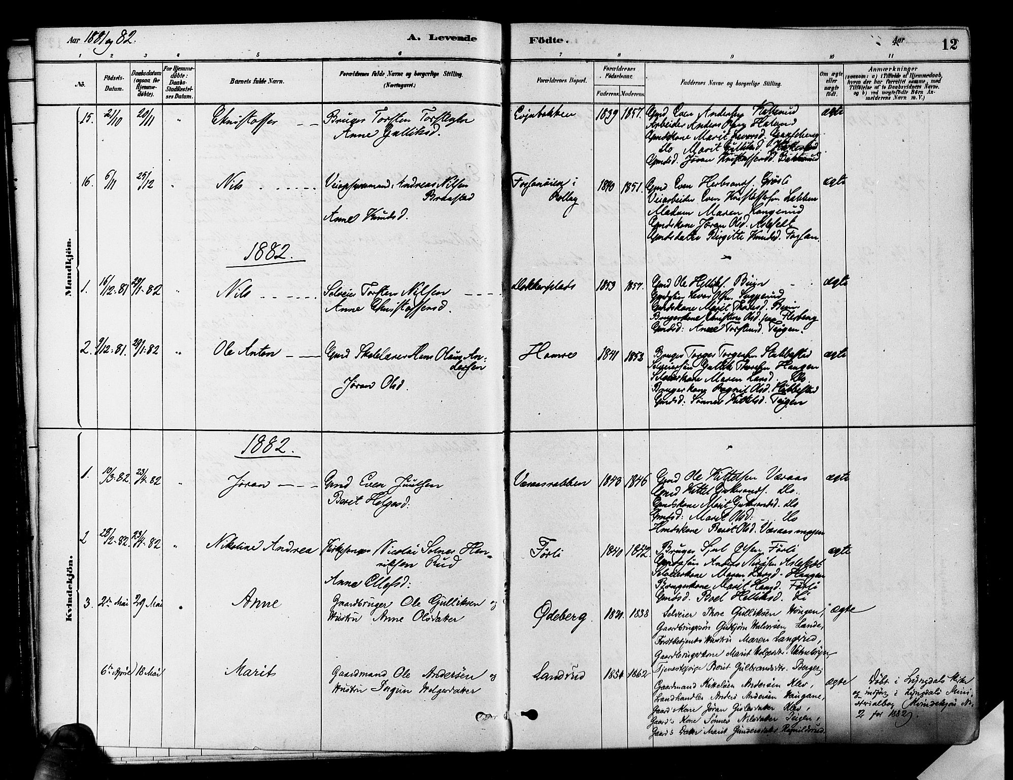 Flesberg kirkebøker, AV/SAKO-A-18/F/Fa/L0008: Parish register (official) no. I 8, 1879-1899, p. 12