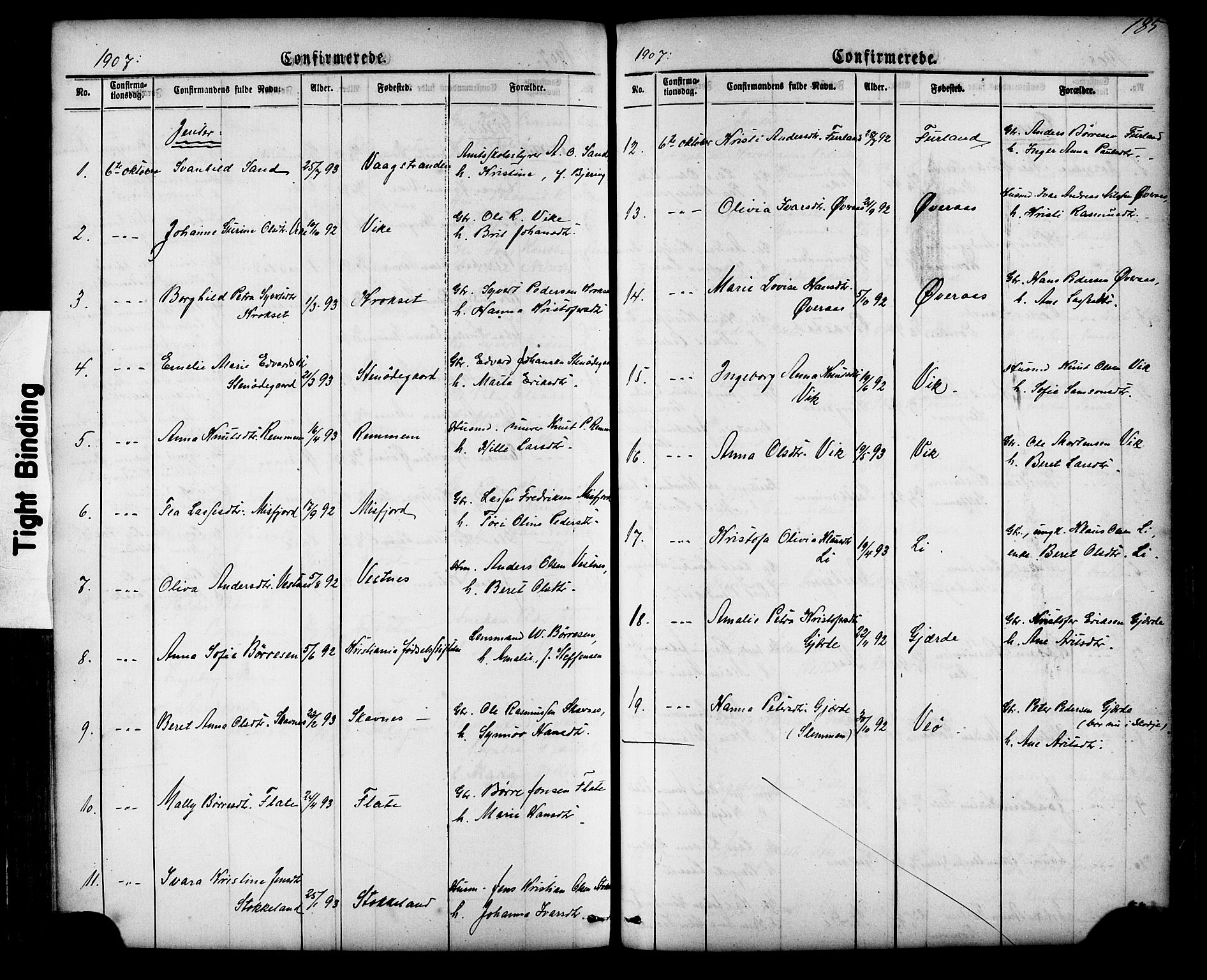 Ministerialprotokoller, klokkerbøker og fødselsregistre - Møre og Romsdal, AV/SAT-A-1454/539/L0536: Parish register (copy) no. 539C02, 1867-1913, p. 185