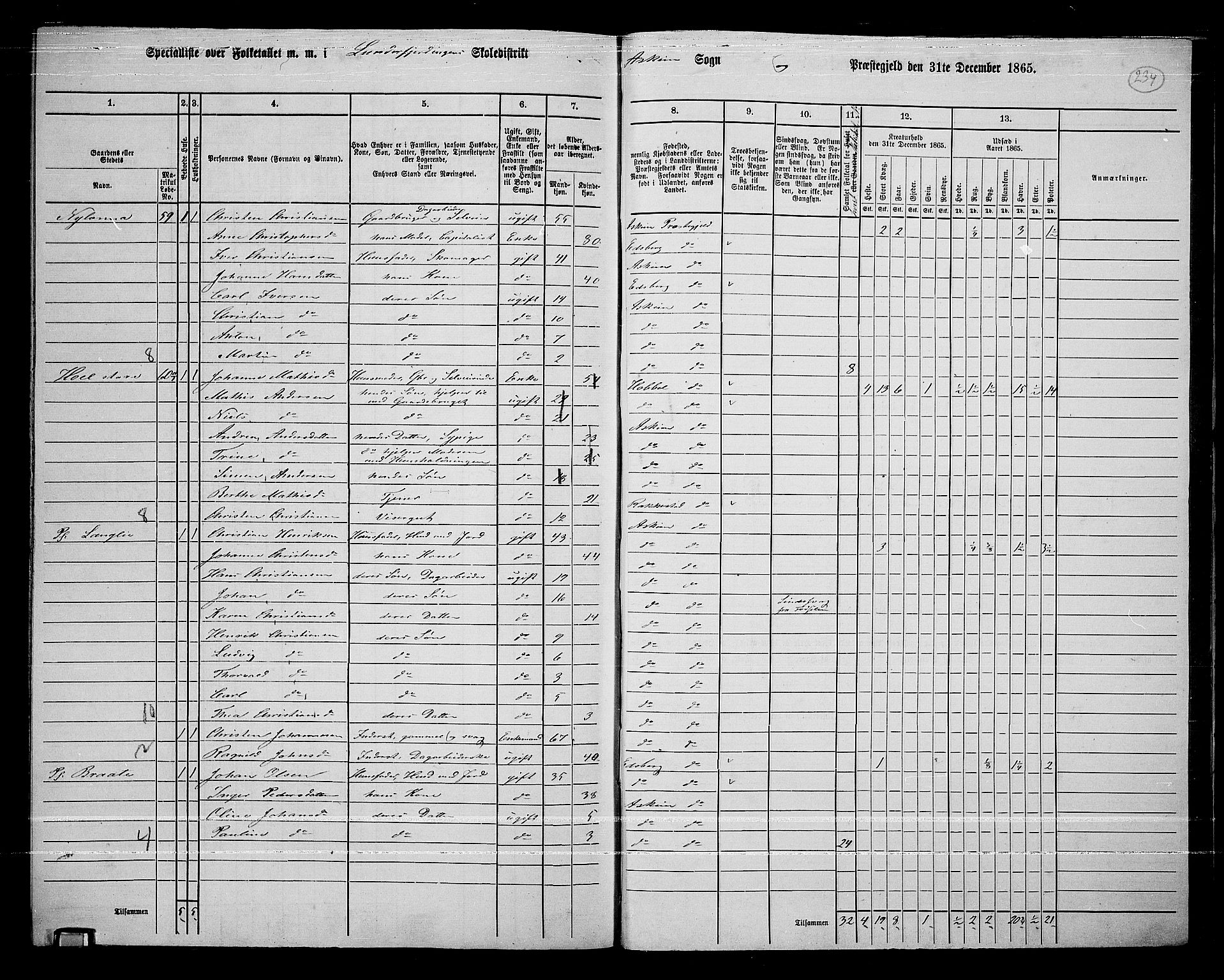 RA, 1865 census for Askim, 1865, p. 91