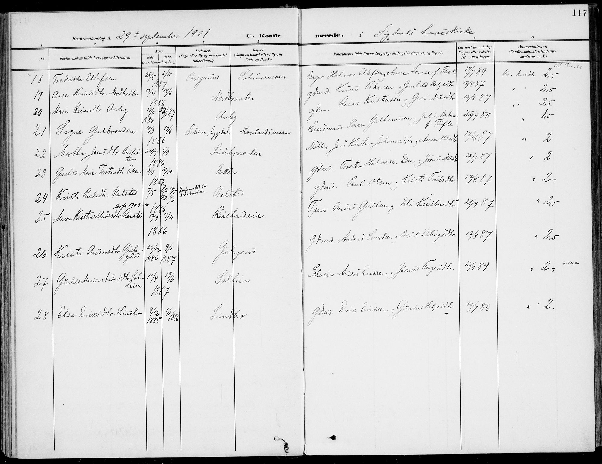 Sigdal kirkebøker, AV/SAKO-A-245/F/Fb/L0002: Parish register (official) no. II 2, 1901-1914, p. 117