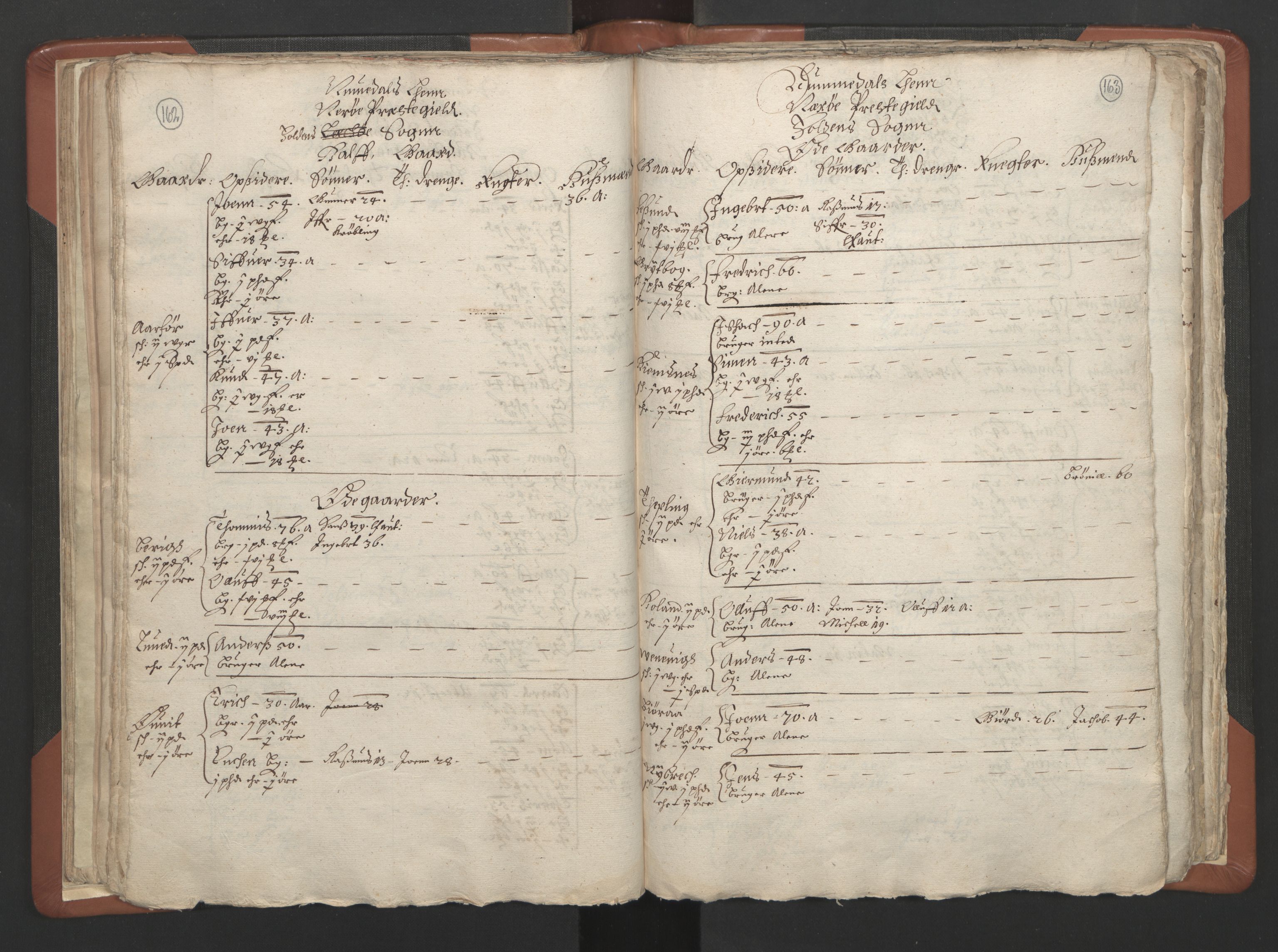 RA, Vicar's Census 1664-1666, no. 34: Namdal deanery, 1664-1666, p. 162-163