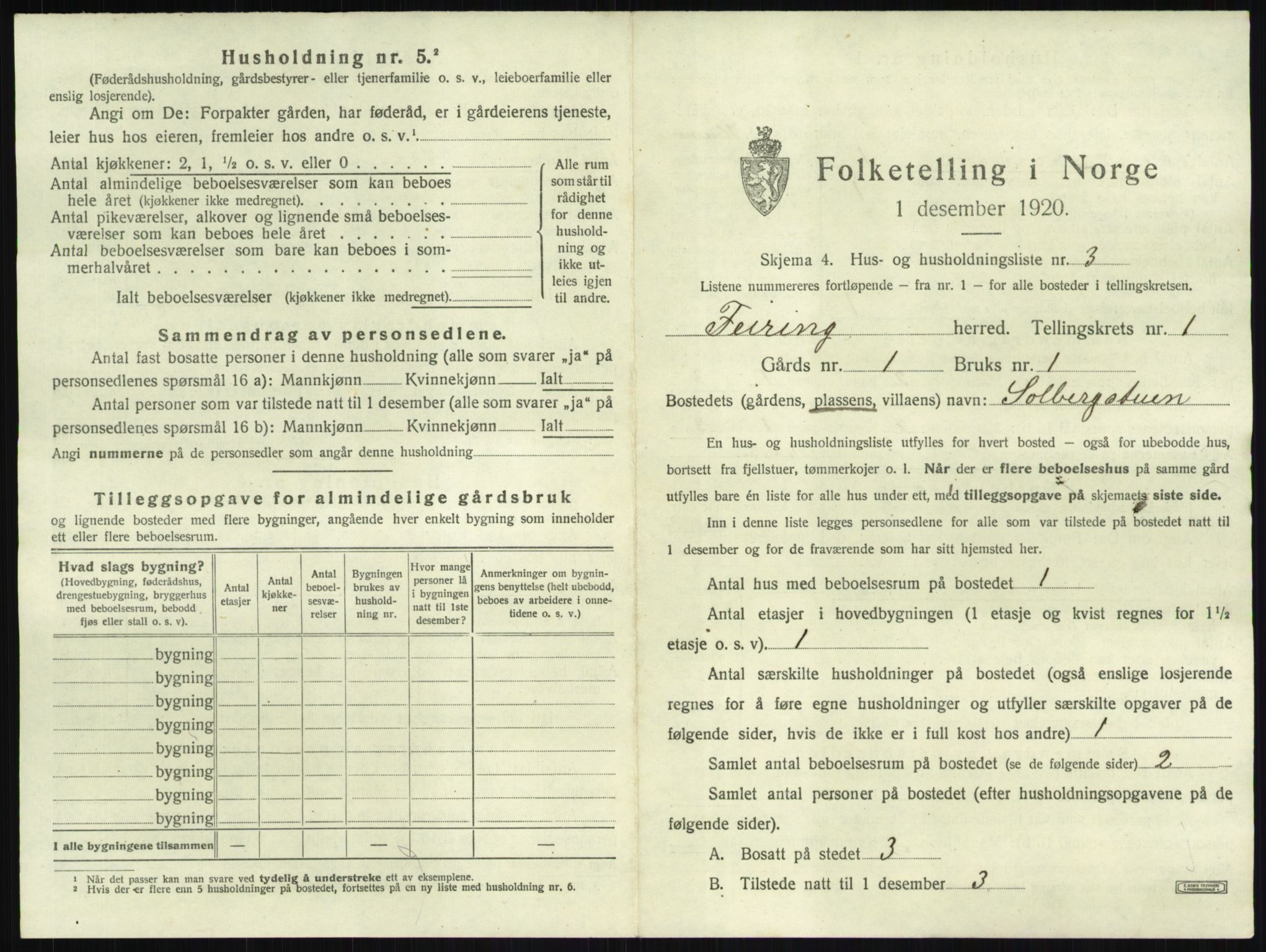 SAO, 1920 census for Feiring, 1920, p. 19