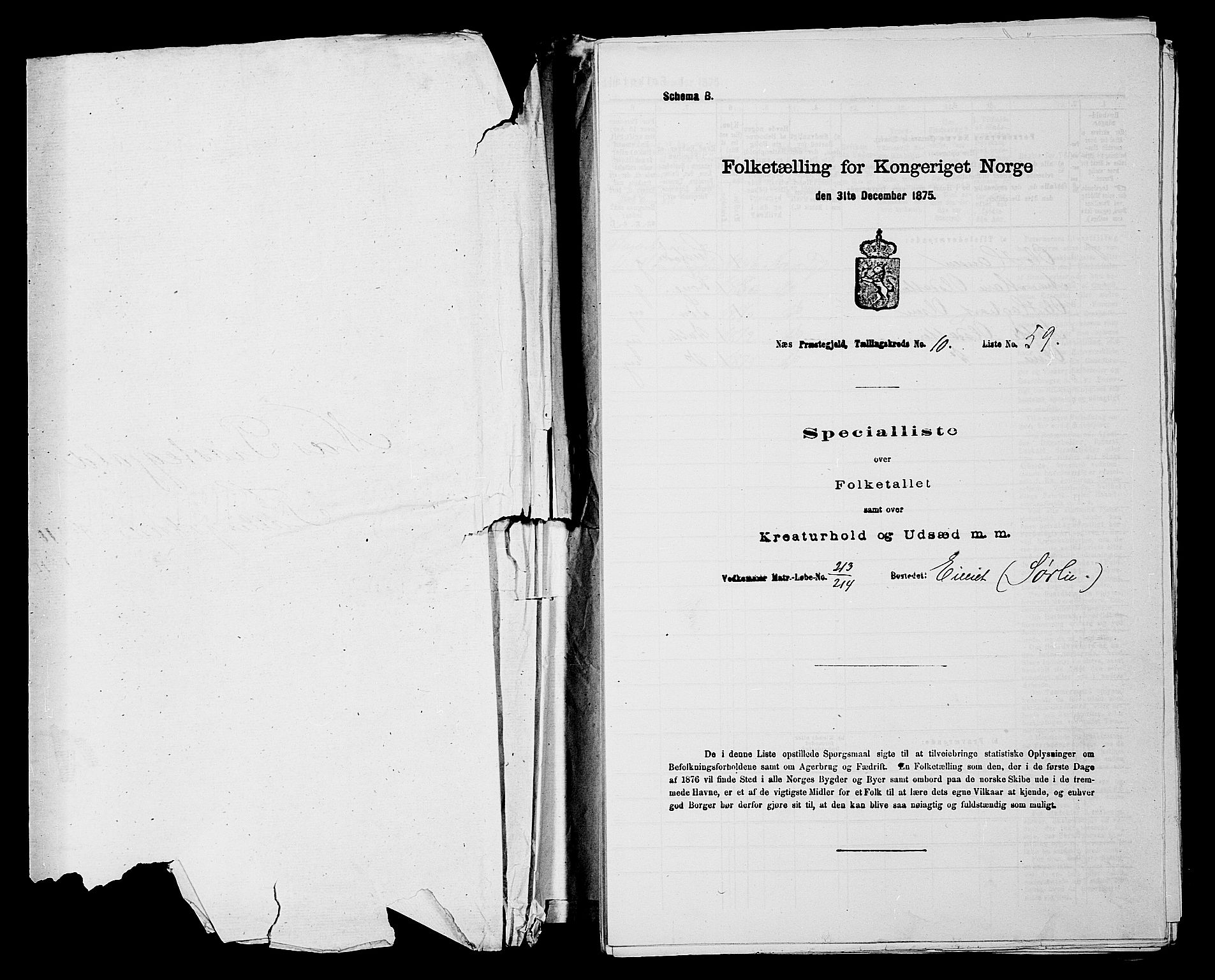 RA, 1875 census for 0236P Nes, 1875, p. 1683