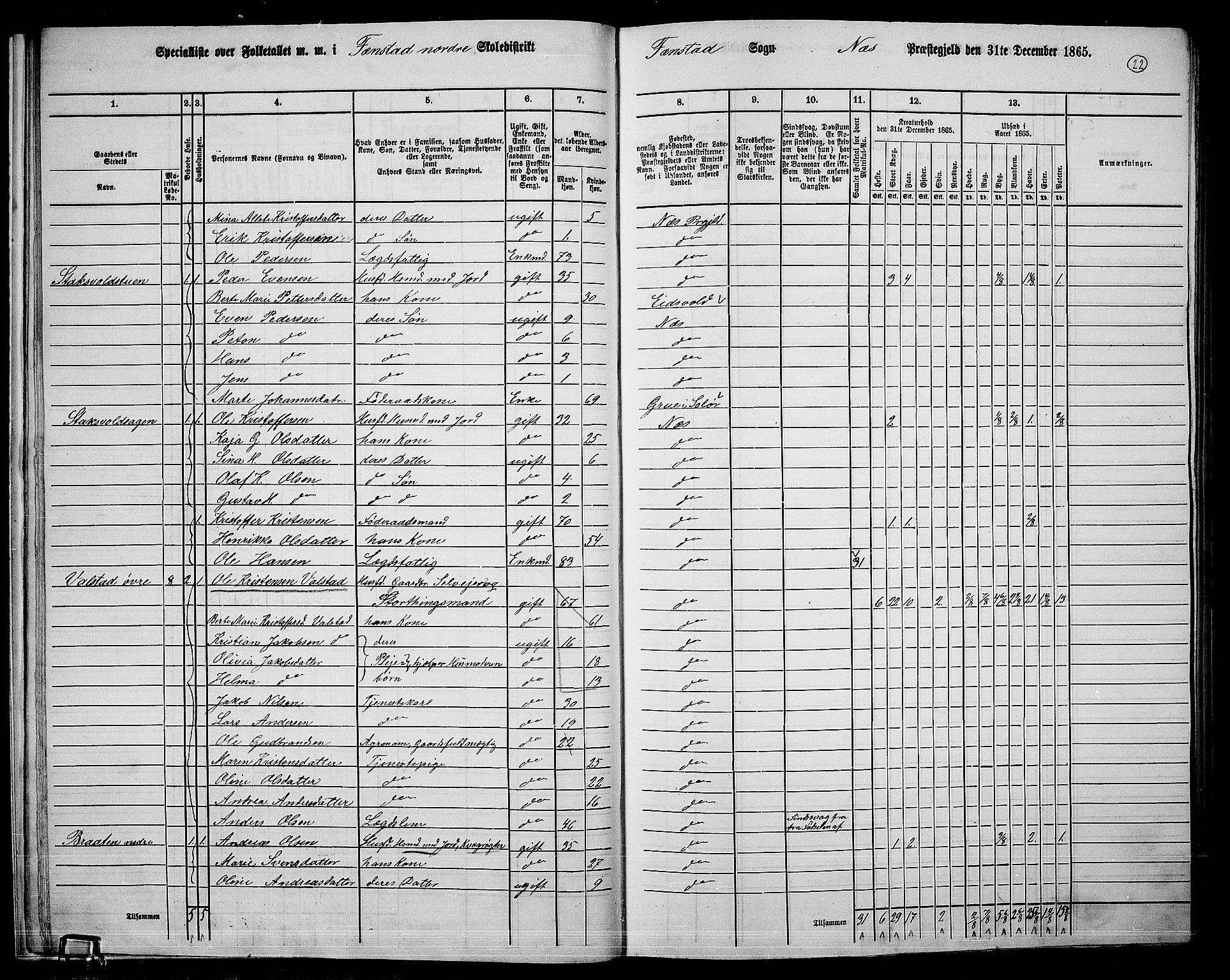 RA, 1865 census for Nes, 1865, p. 21