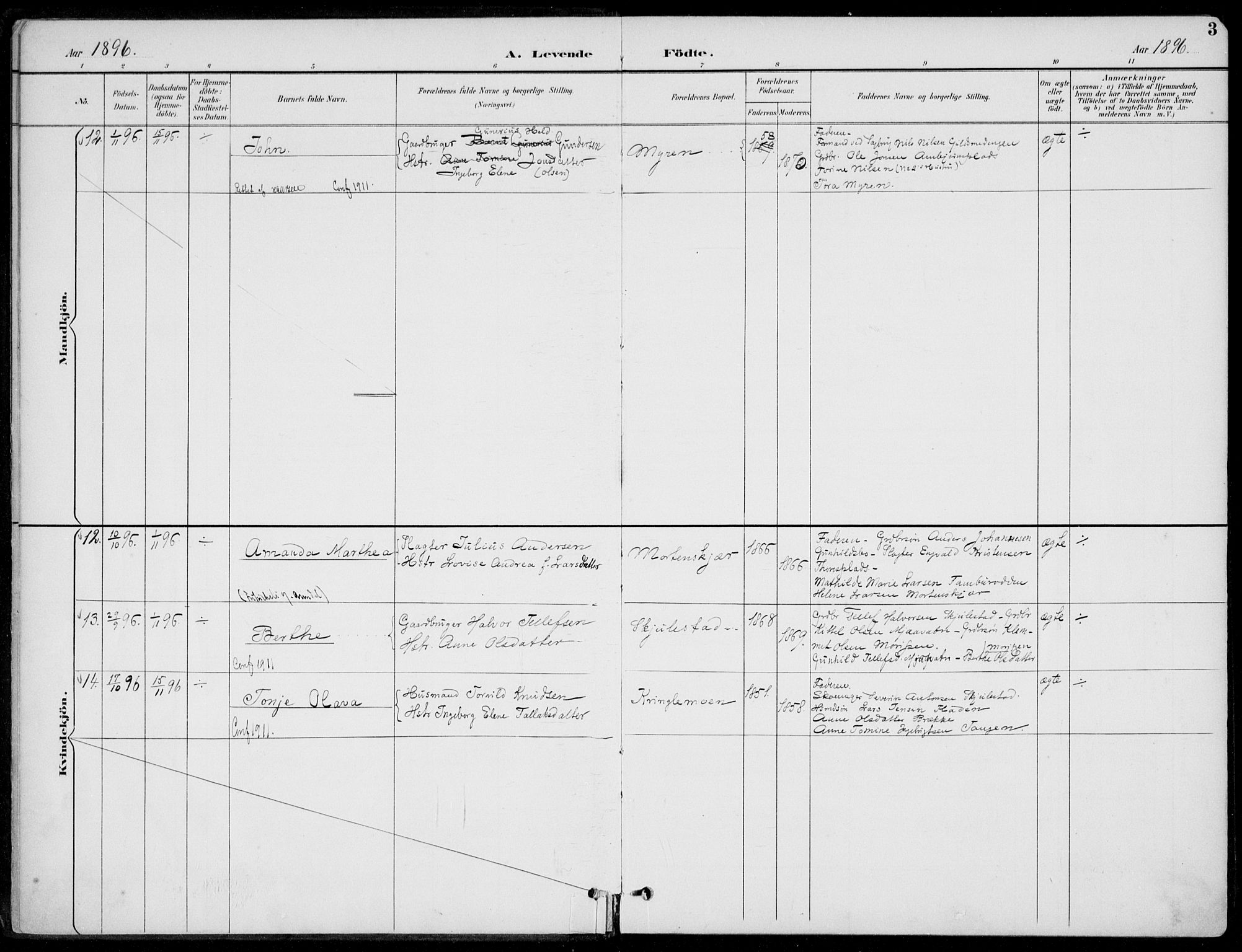 Austre Moland sokneprestkontor, SAK/1111-0001/F/Fa/Faa/L0011: Parish register (official) no. A 11, 1894-1915, p. 3