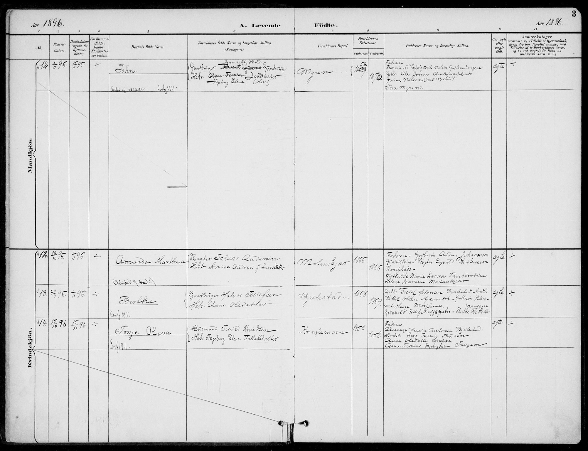 Austre Moland sokneprestkontor, AV/SAK-1111-0001/F/Fa/Faa/L0011: Parish register (official) no. A 11, 1894-1915, p. 3