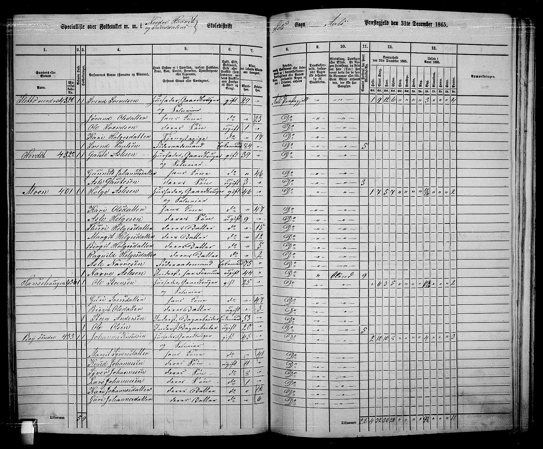 RA, 1865 census for Ål, 1865, p. 213