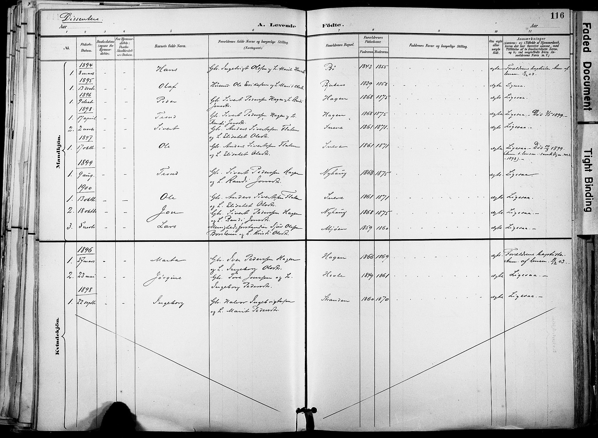Ministerialprotokoller, klokkerbøker og fødselsregistre - Sør-Trøndelag, SAT/A-1456/678/L0902: Parish register (official) no. 678A11, 1895-1911, p. 116