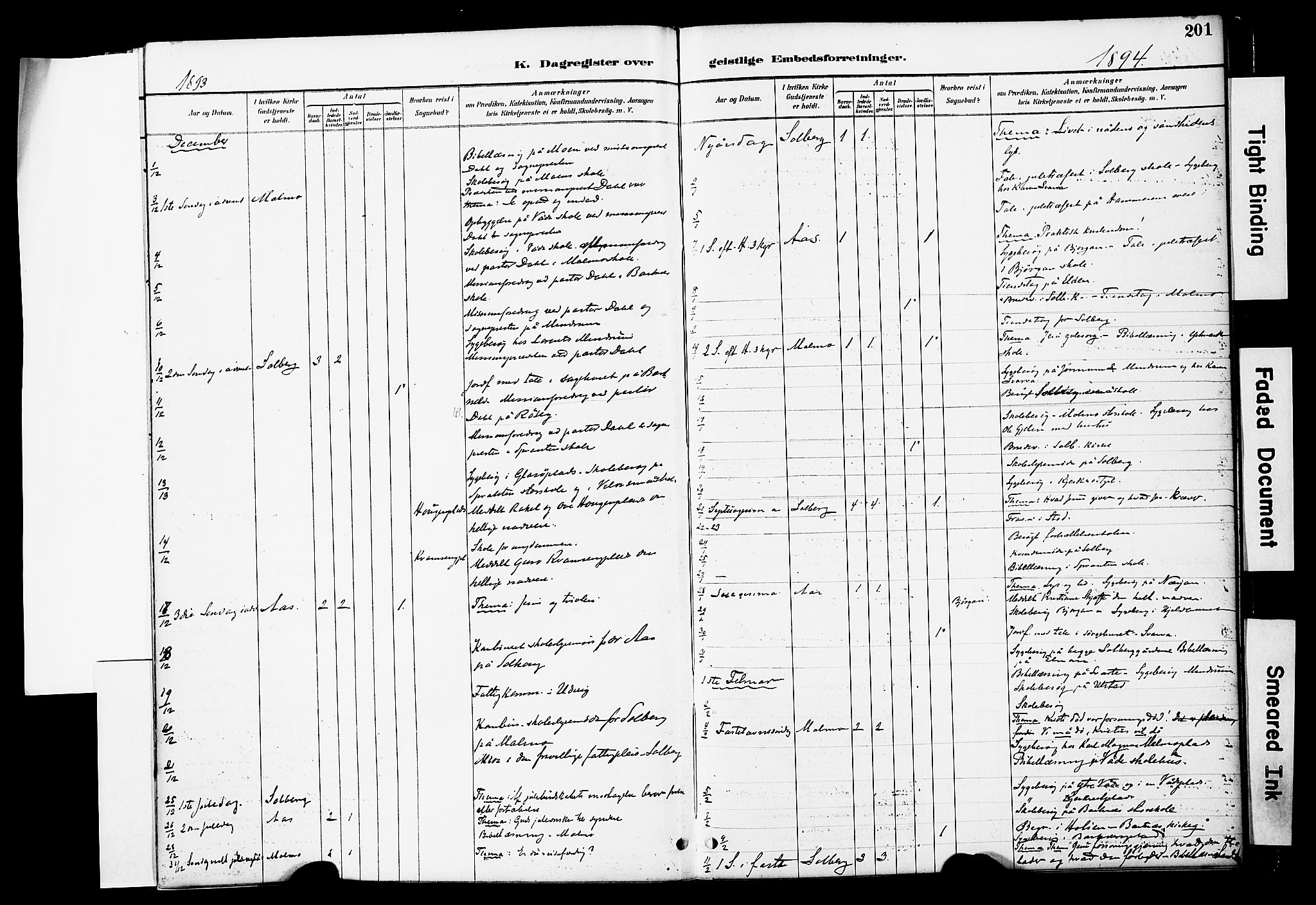 Ministerialprotokoller, klokkerbøker og fødselsregistre - Nord-Trøndelag, SAT/A-1458/741/L0396: Parish register (official) no. 741A10, 1889-1901, p. 201