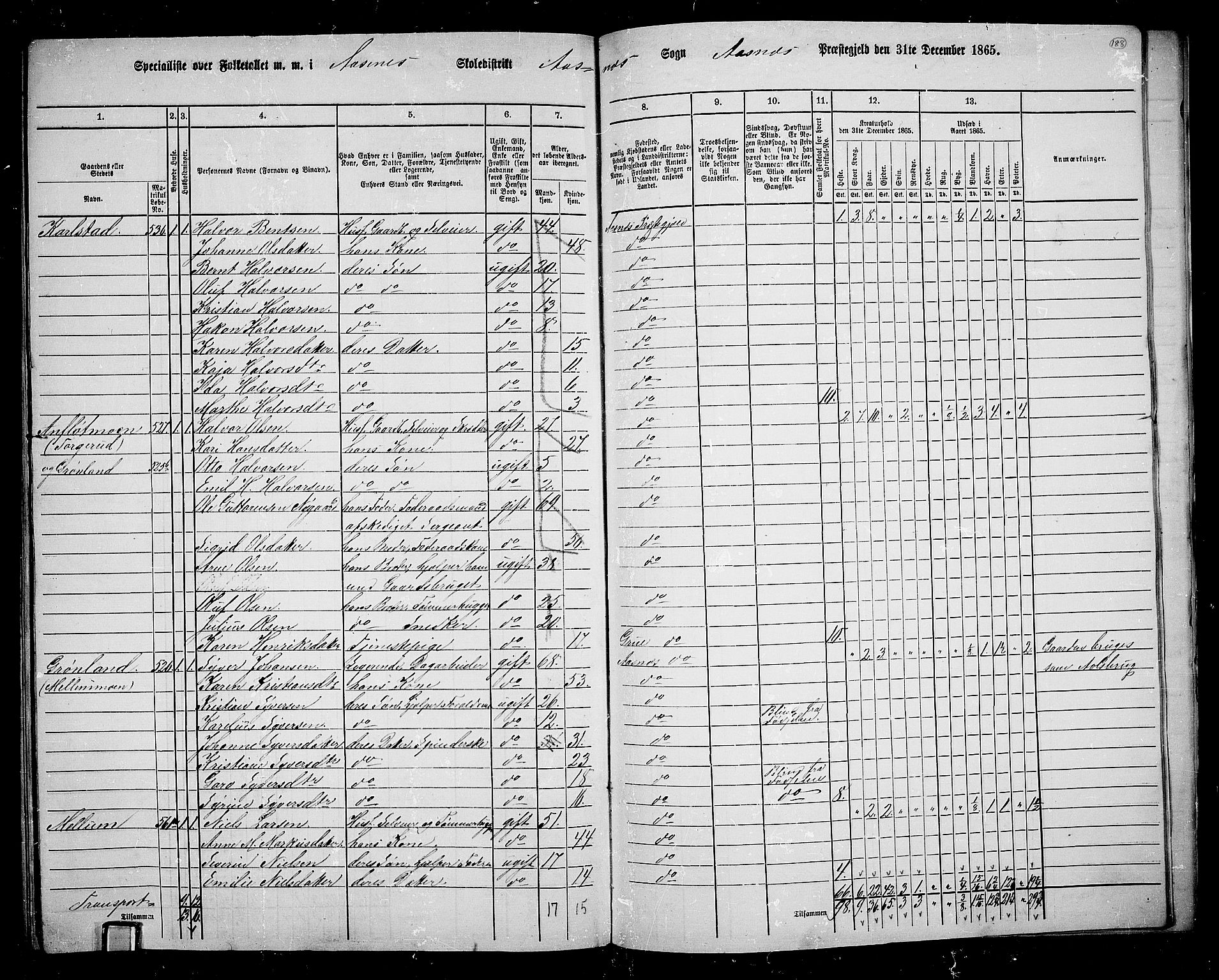 RA, 1865 census for Åsnes, 1865, p. 171