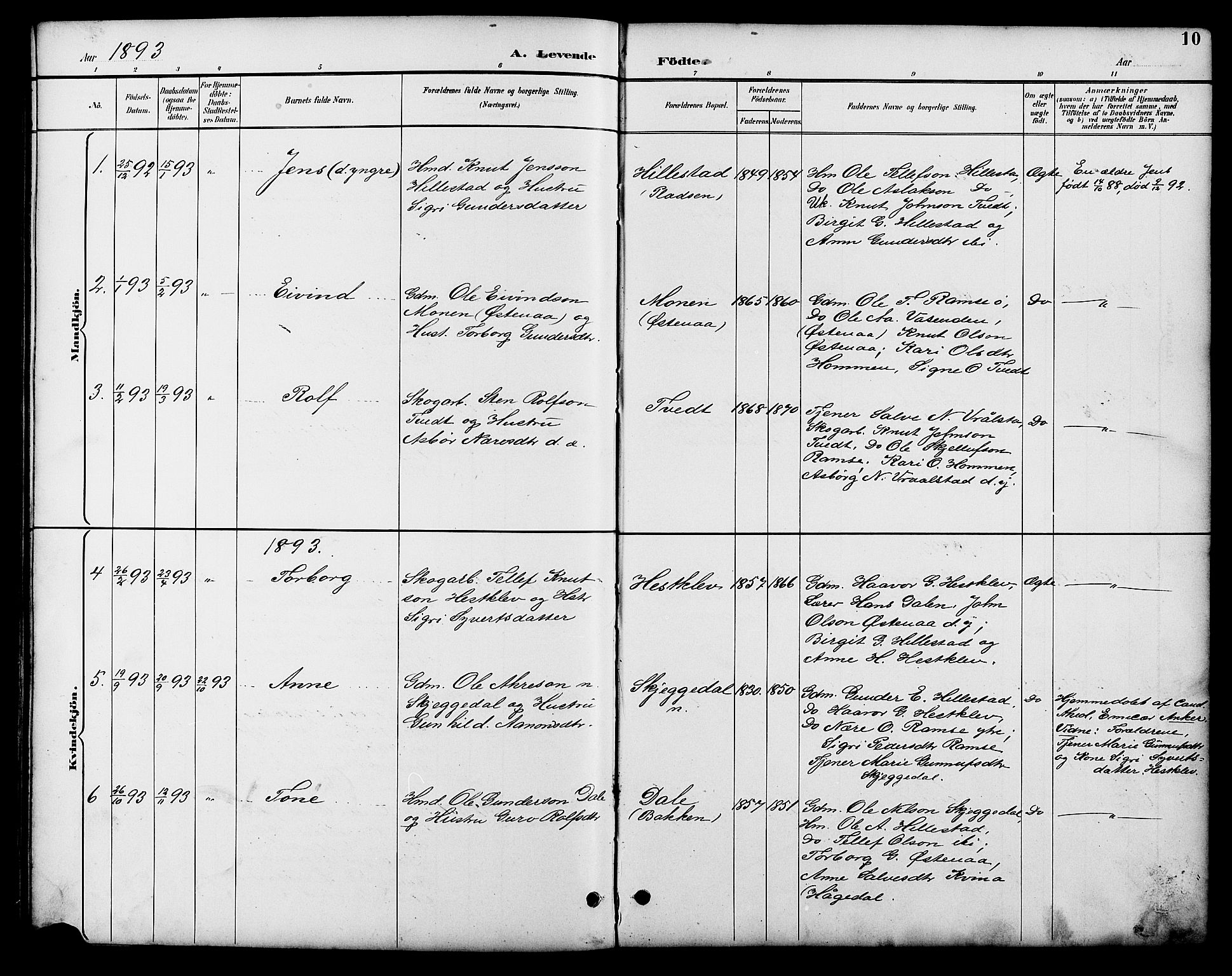 Åmli sokneprestkontor, AV/SAK-1111-0050/F/Fb/Fbb/L0002: Parish register (copy) no. B 2, 1890-1905, p. 10