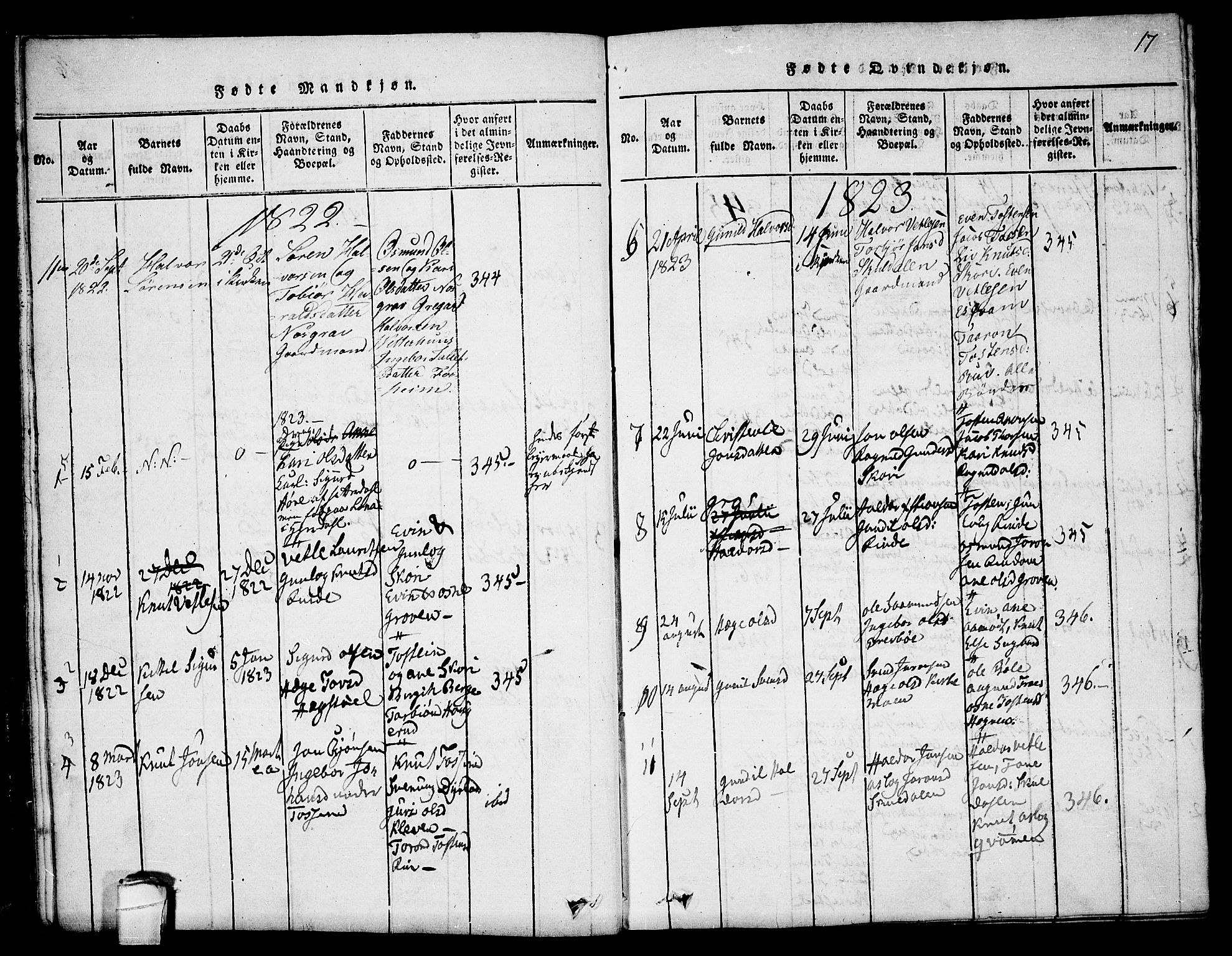 Seljord kirkebøker, SAKO/A-20/F/Fc/L0001: Parish register (official) no. III 1, 1815-1831, p. 17