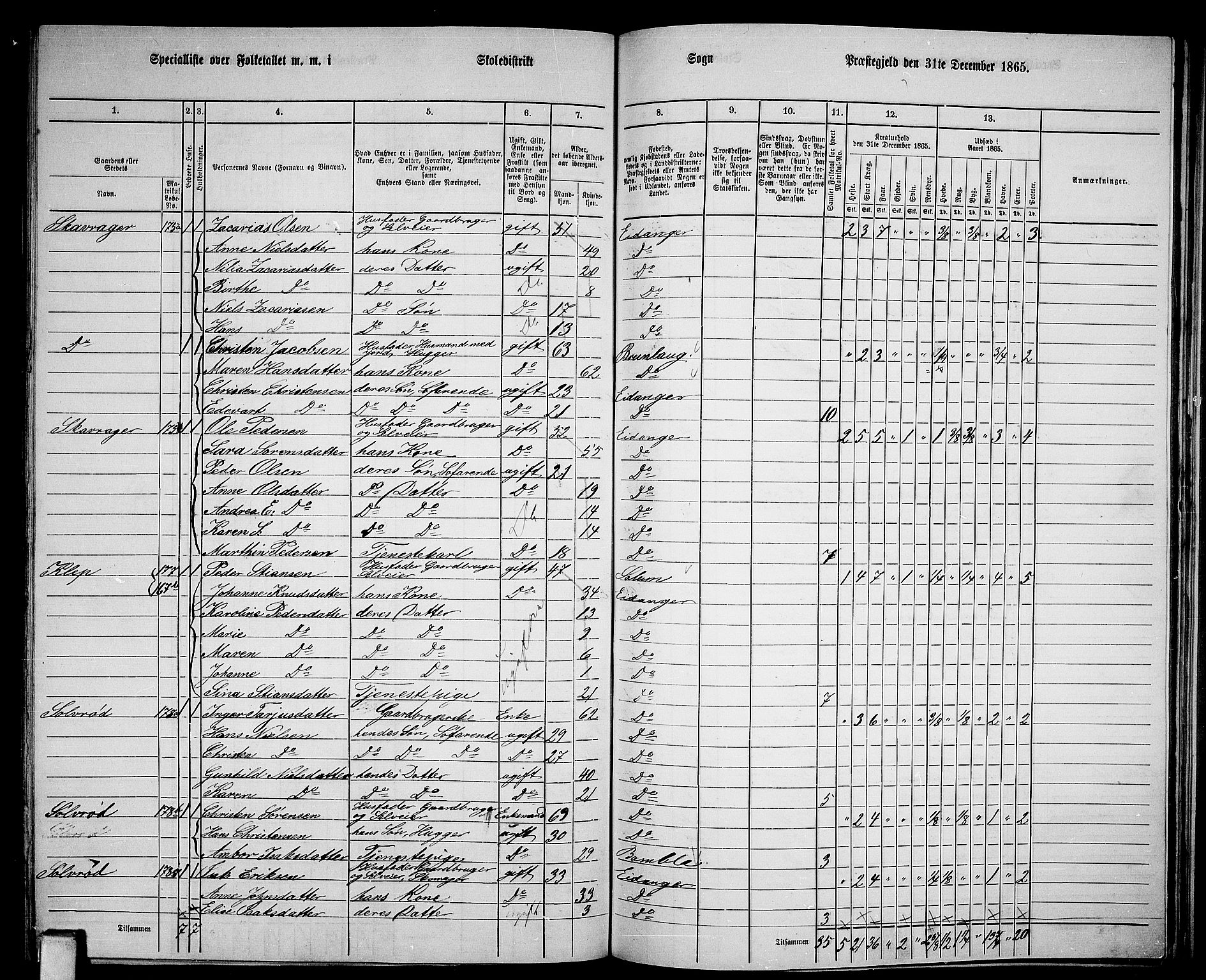 RA, 1865 census for Eidanger, 1865, p. 86