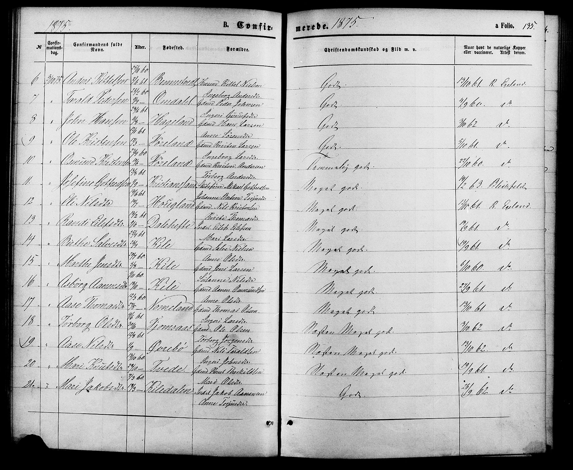 Vennesla sokneprestkontor, AV/SAK-1111-0045/Fa/Fac/L0008: Parish register (official) no. A 8, 1874-1883, p. 135