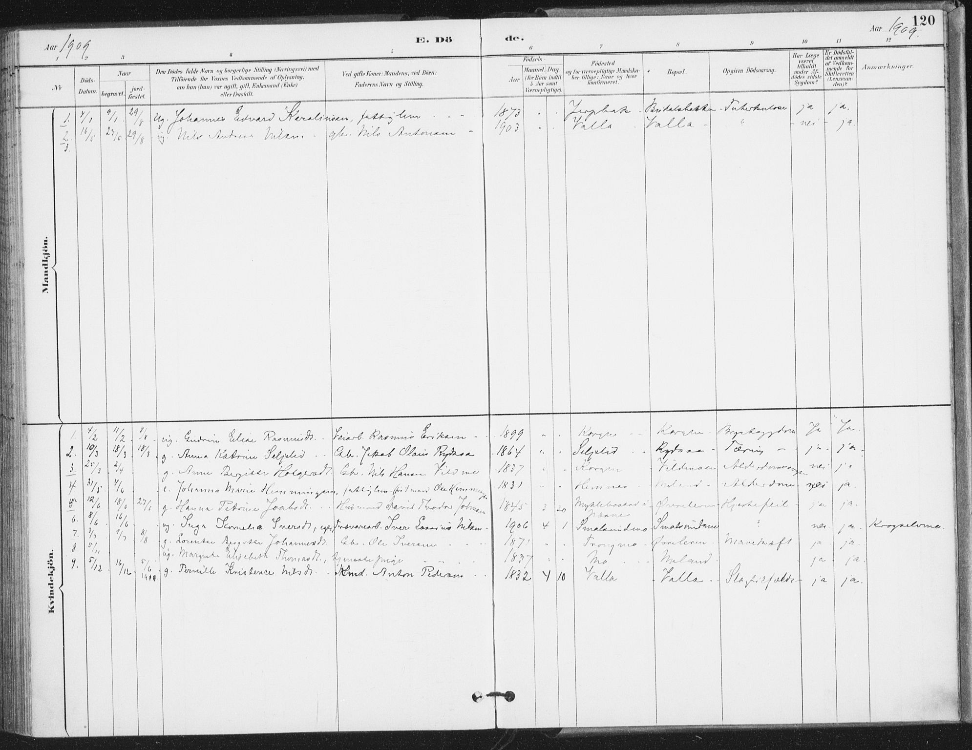 Ministerialprotokoller, klokkerbøker og fødselsregistre - Nordland, SAT/A-1459/826/L0380: Parish register (official) no. 826A03, 1891-1911, p. 120