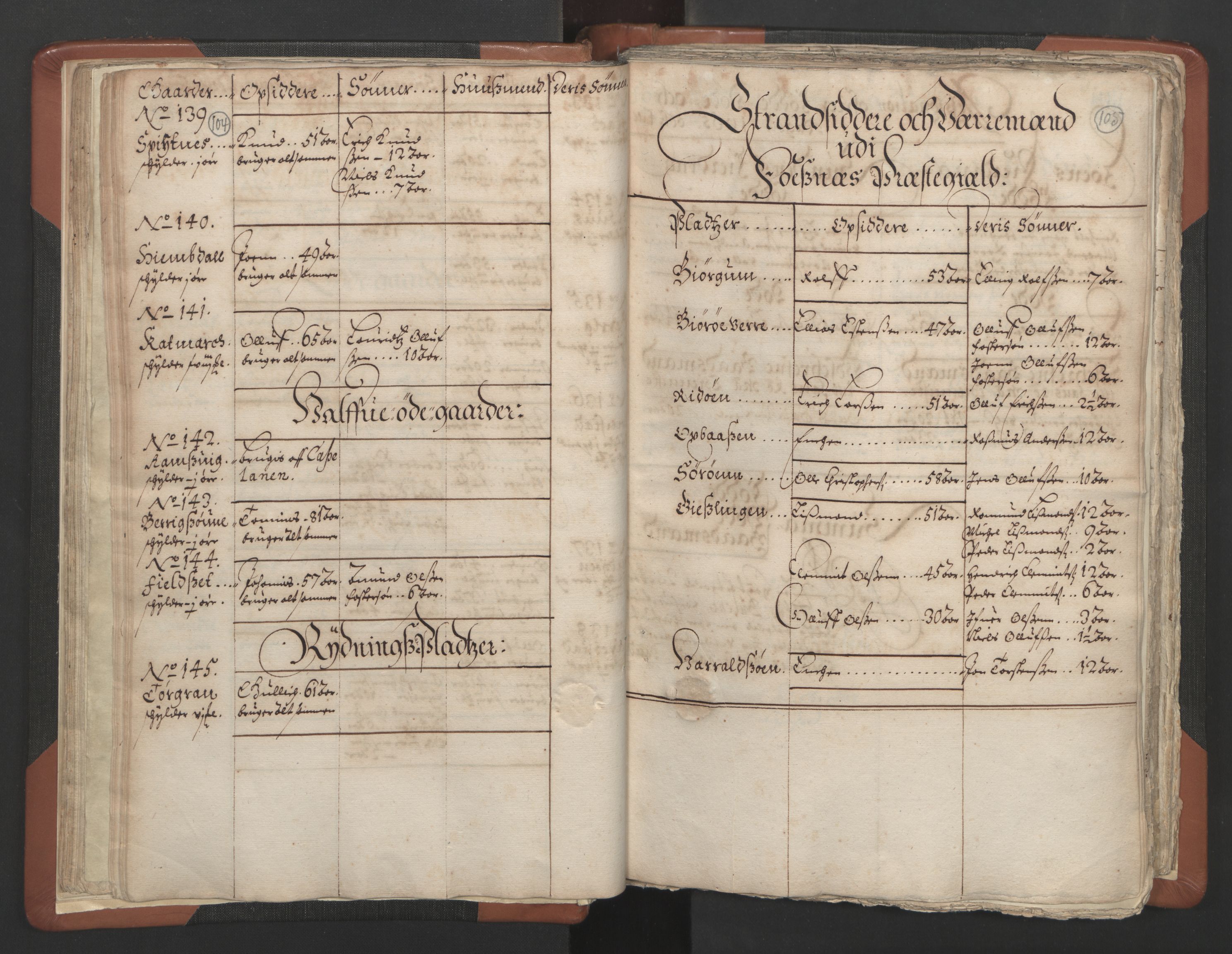 RA, Vicar's Census 1664-1666, no. 34: Namdal deanery, 1664-1666, p. 104-105