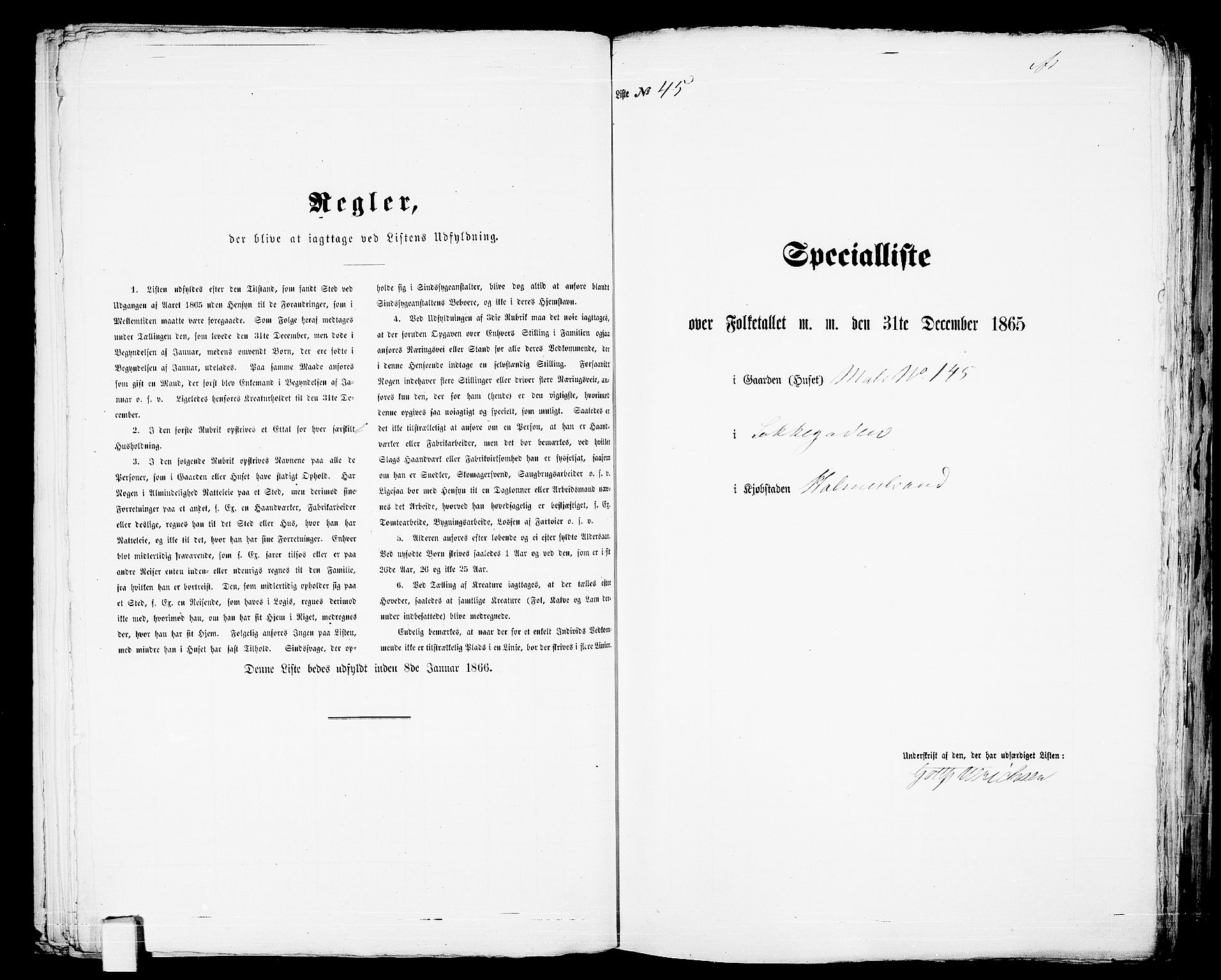 RA, 1865 census for Botne/Holmestrand, 1865, p. 96