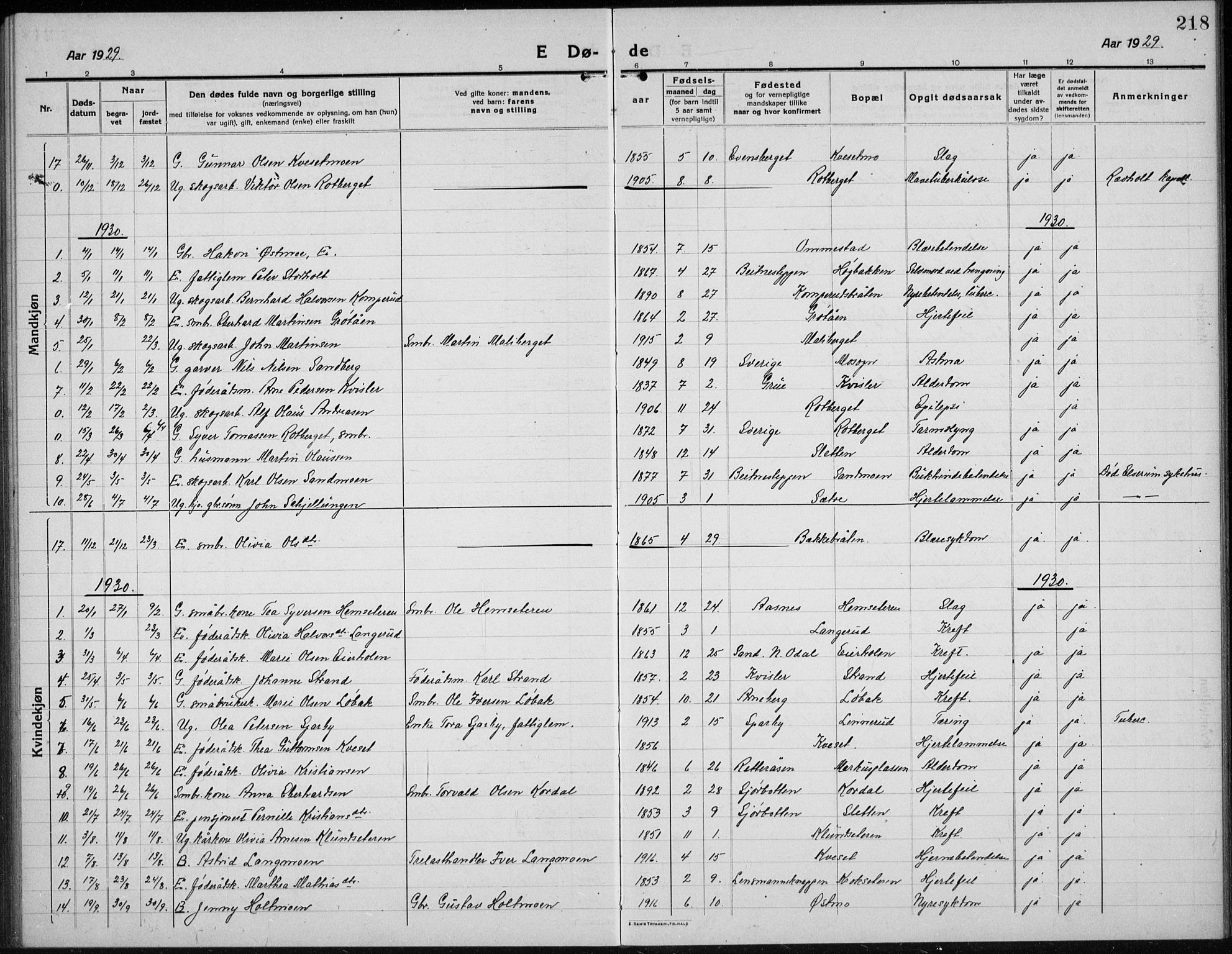 Hof prestekontor, AV/SAH-PREST-038/H/Ha/Hab/L0002: Parish register (copy) no. 2, 1915-1934, p. 218