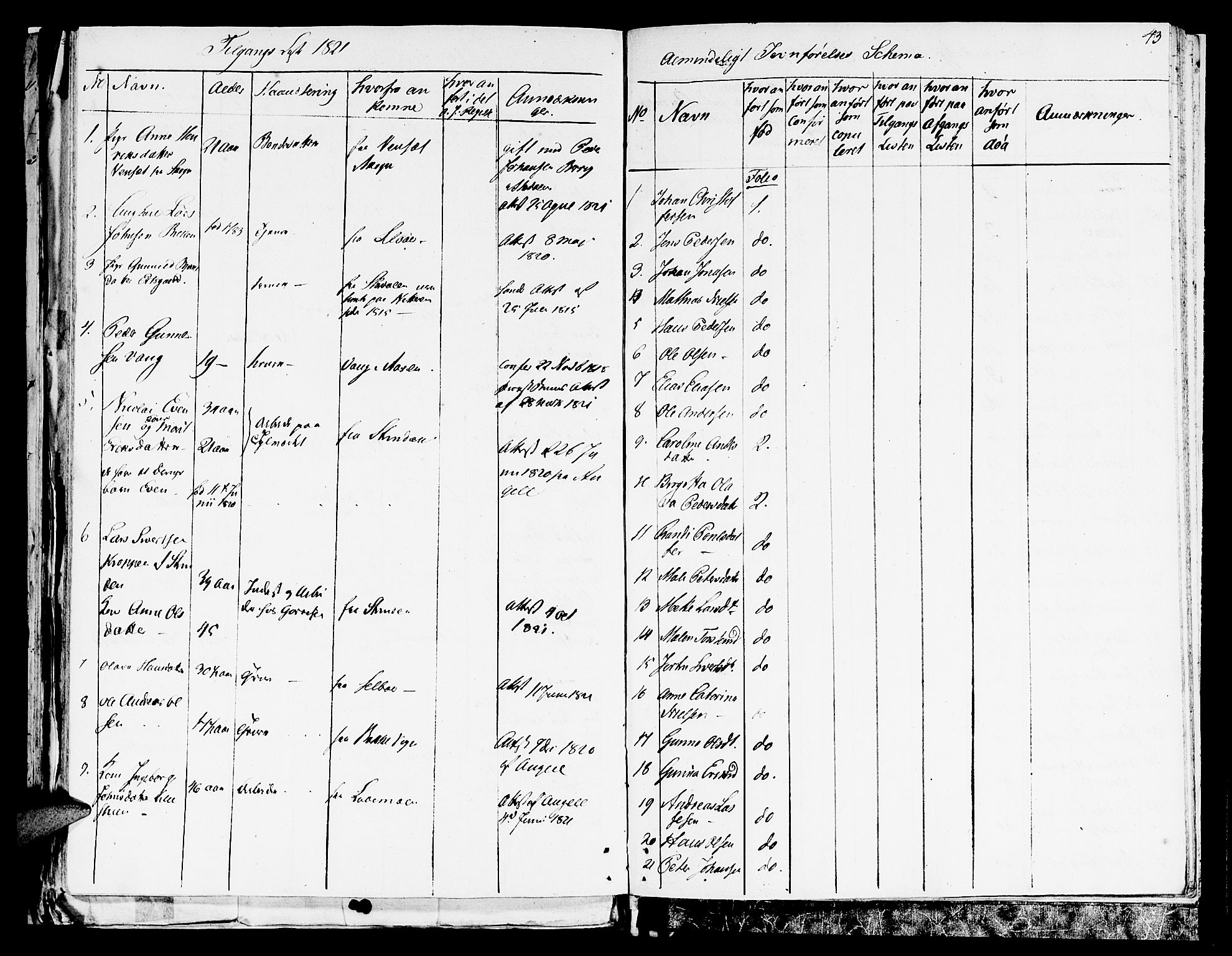 Ministerialprotokoller, klokkerbøker og fødselsregistre - Nord-Trøndelag, SAT/A-1458/709/L0061: Parish register (official) no. 709A09 /1, 1820-1821, p. 43