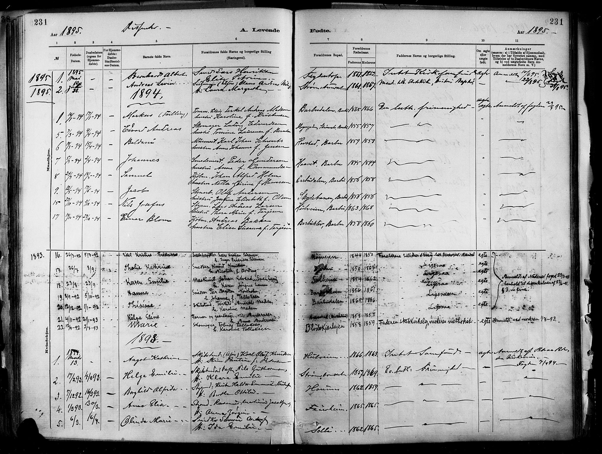 Barbu sokneprestkontor, AV/SAK-1111-0003/F/Fa/L0002: Parish register (official) no. A 2, 1883-1898, p. 231