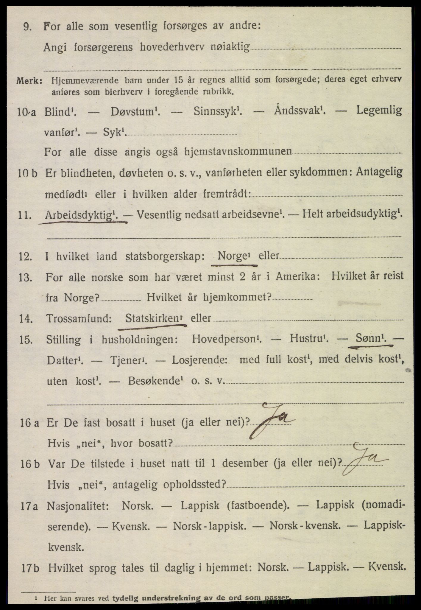 SAT, 1920 census for Vik, 1920, p. 2362