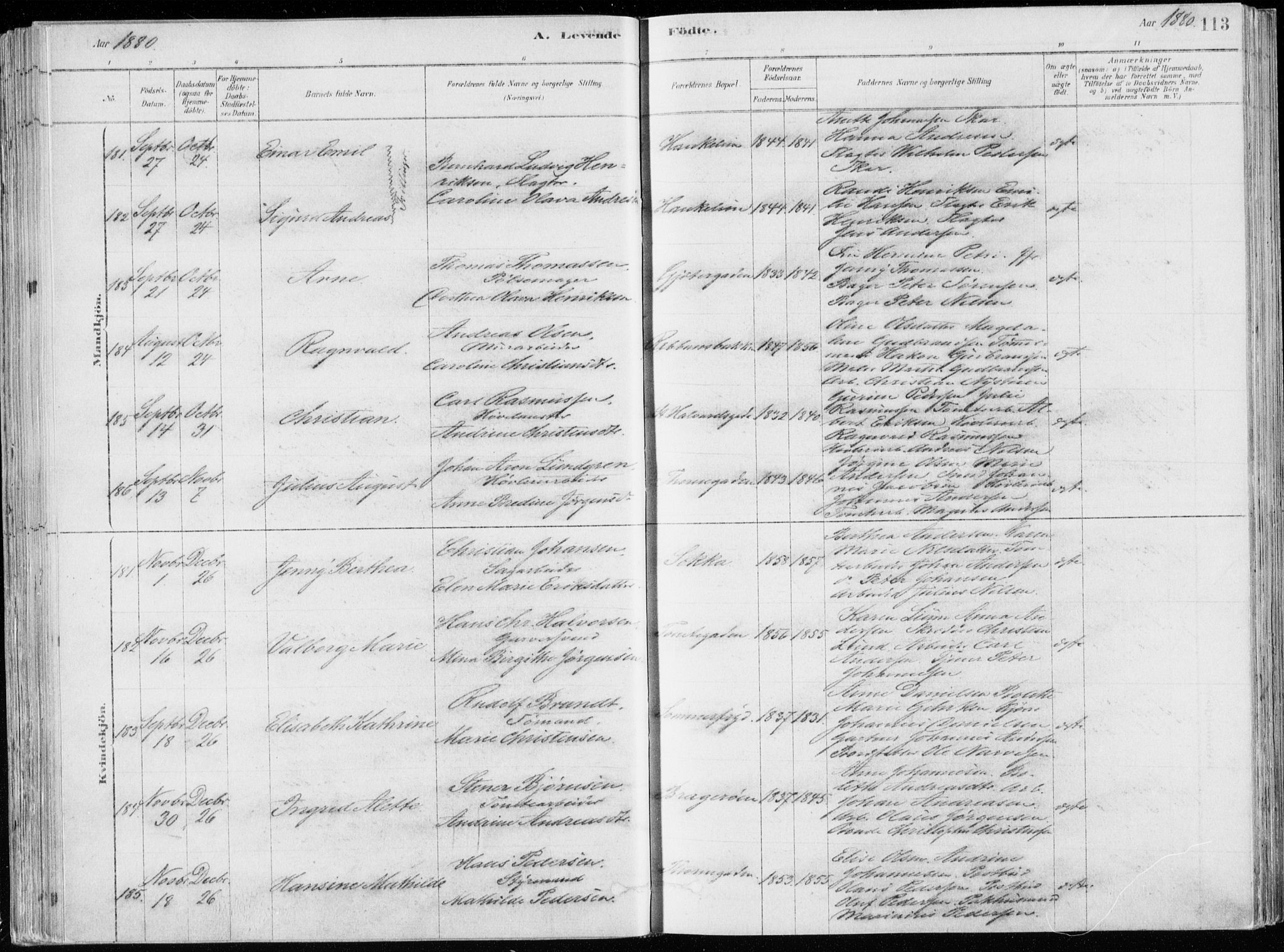 Bragernes kirkebøker, AV/SAKO-A-6/F/Fb/L0006a: Parish register (official) no. II 6A, 1878-1885, p. 113