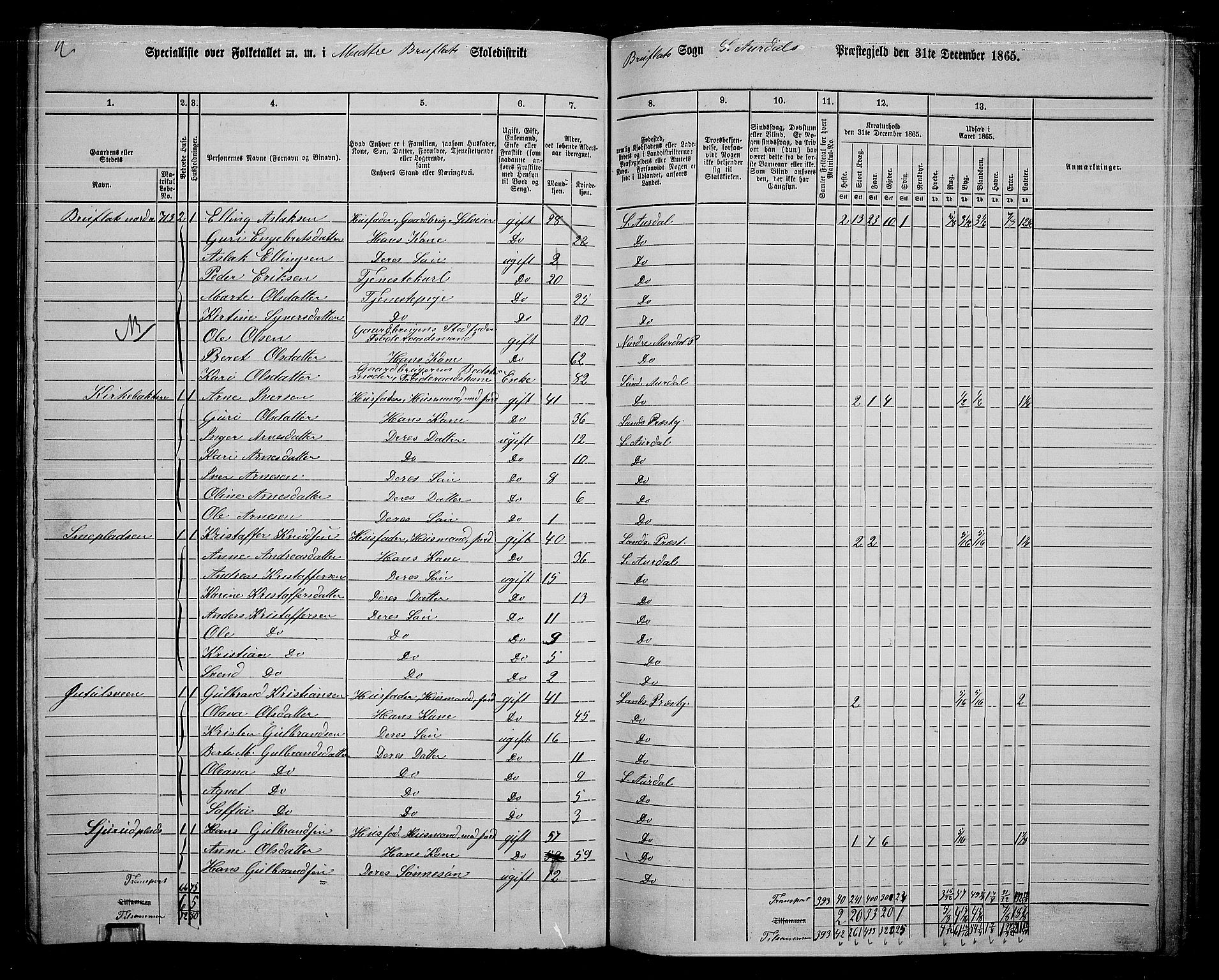 RA, 1865 census for Sør-Aurdal, 1865, p. 231