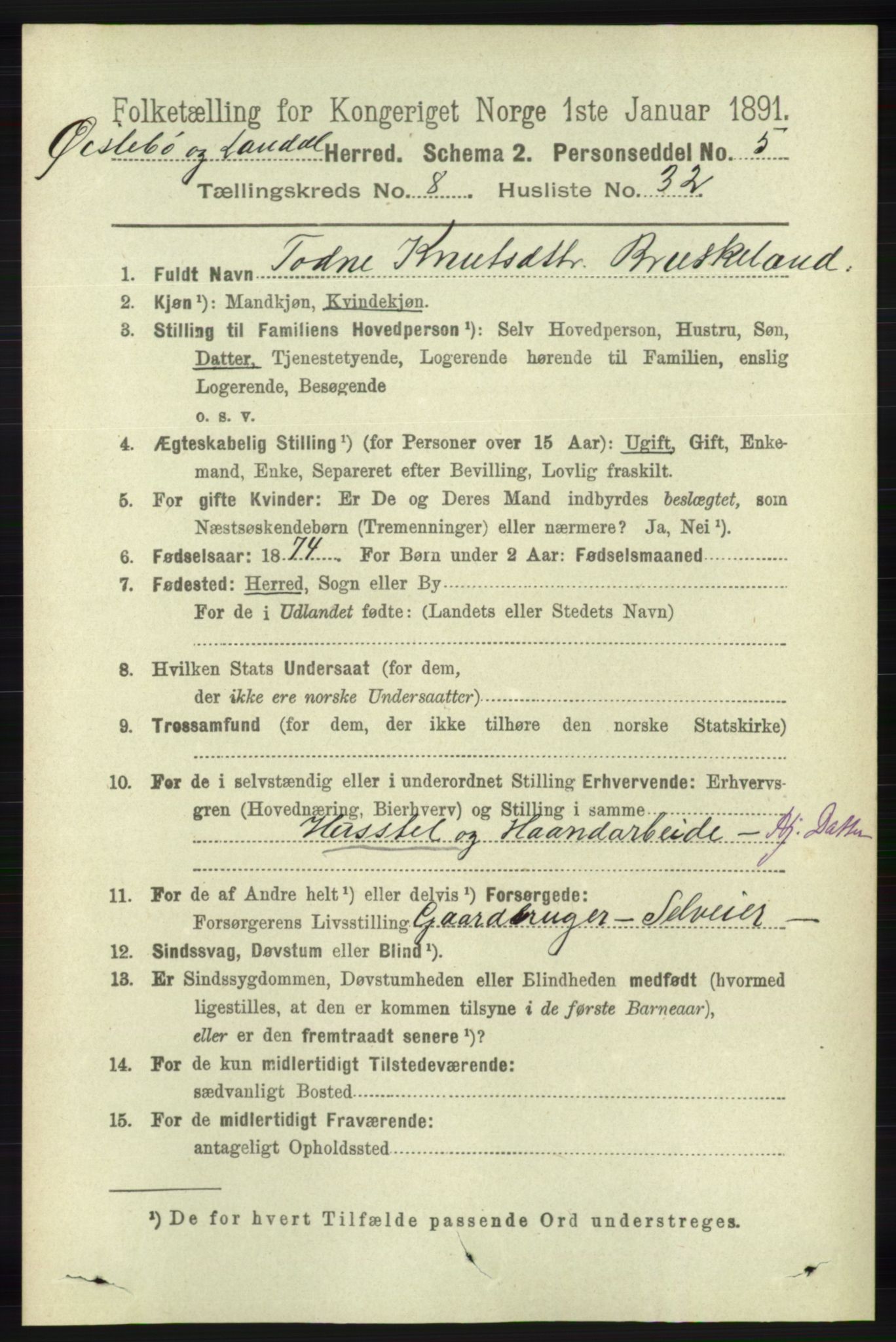RA, 1891 census for 1021 Øyslebø og Laudal, 1891, p. 2274