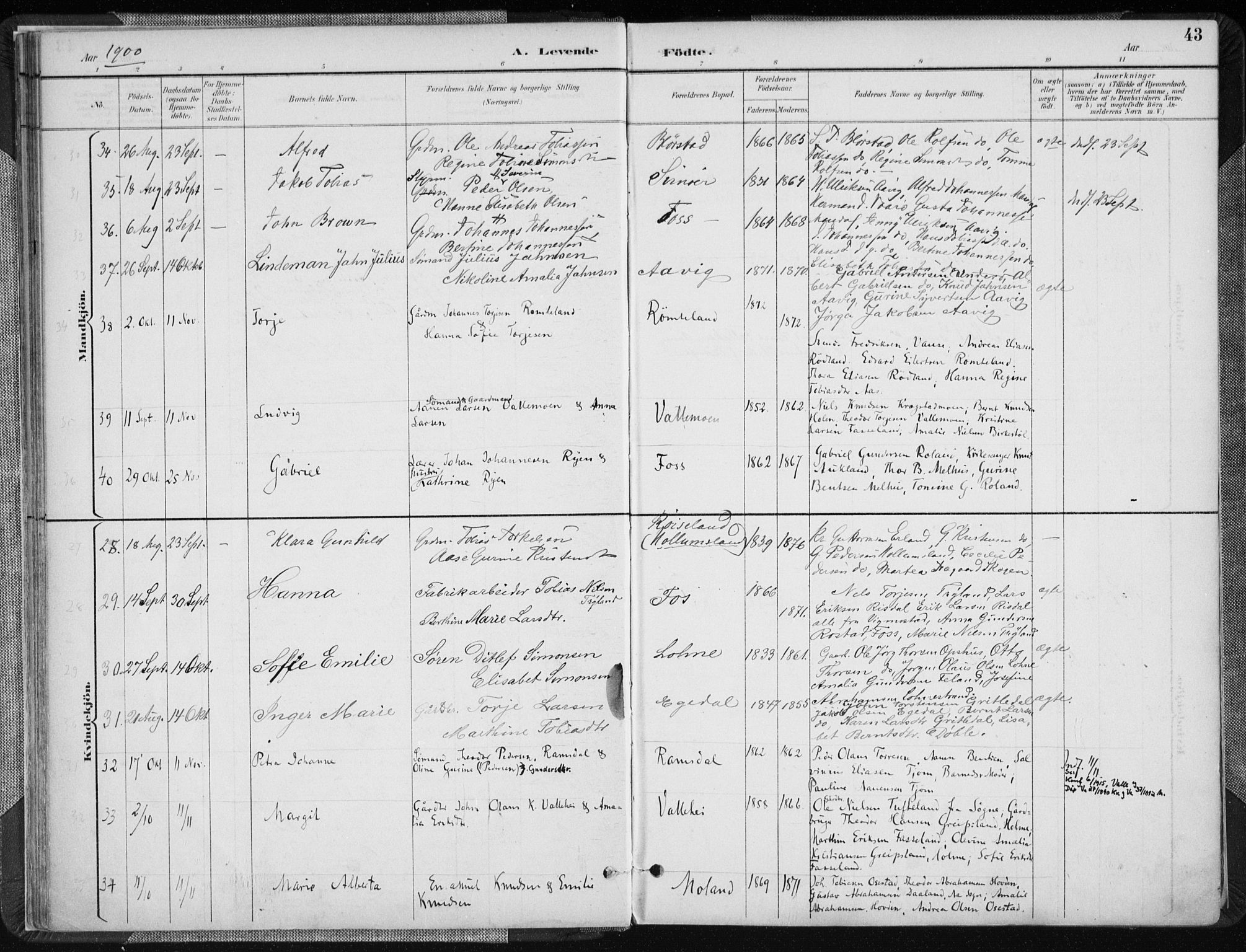 Sør-Audnedal sokneprestkontor, AV/SAK-1111-0039/F/Fa/Fab/L0010: Parish register (official) no. A 10, 1892-1913, p. 43