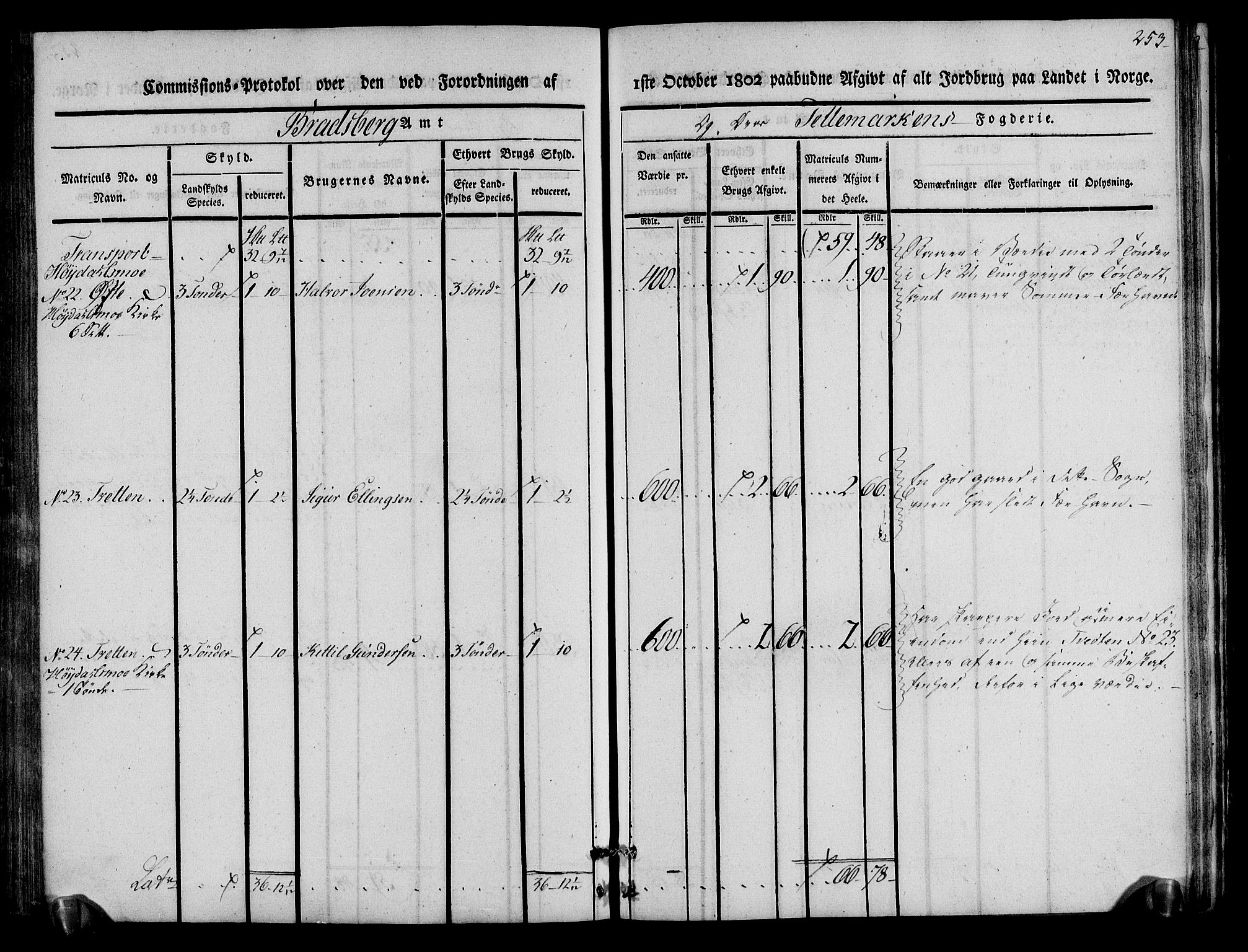 Rentekammeret inntil 1814, Realistisk ordnet avdeling, RA/EA-4070/N/Ne/Nea/L0075: Øvre Telemarken fogderi. Kommisjonsprotokoll for fogderiets vestre del - Kviteseid, Vinje, Moland [):Fyresdal] og Lårdal prestegjeld., 1803, p. 255