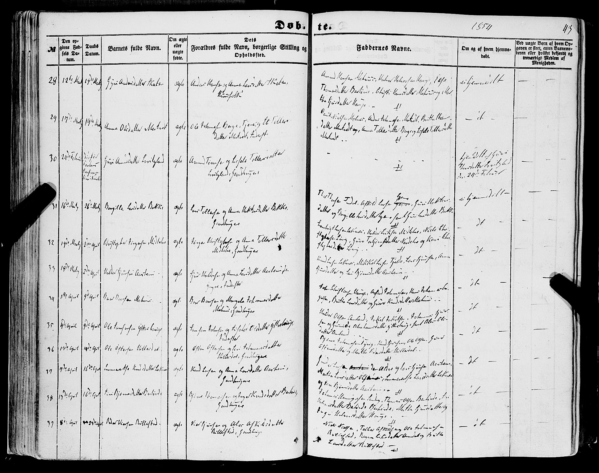 Skånevik sokneprestembete, AV/SAB-A-77801/H/Haa: Parish register (official) no. A 5I, 1848-1869, p. 43