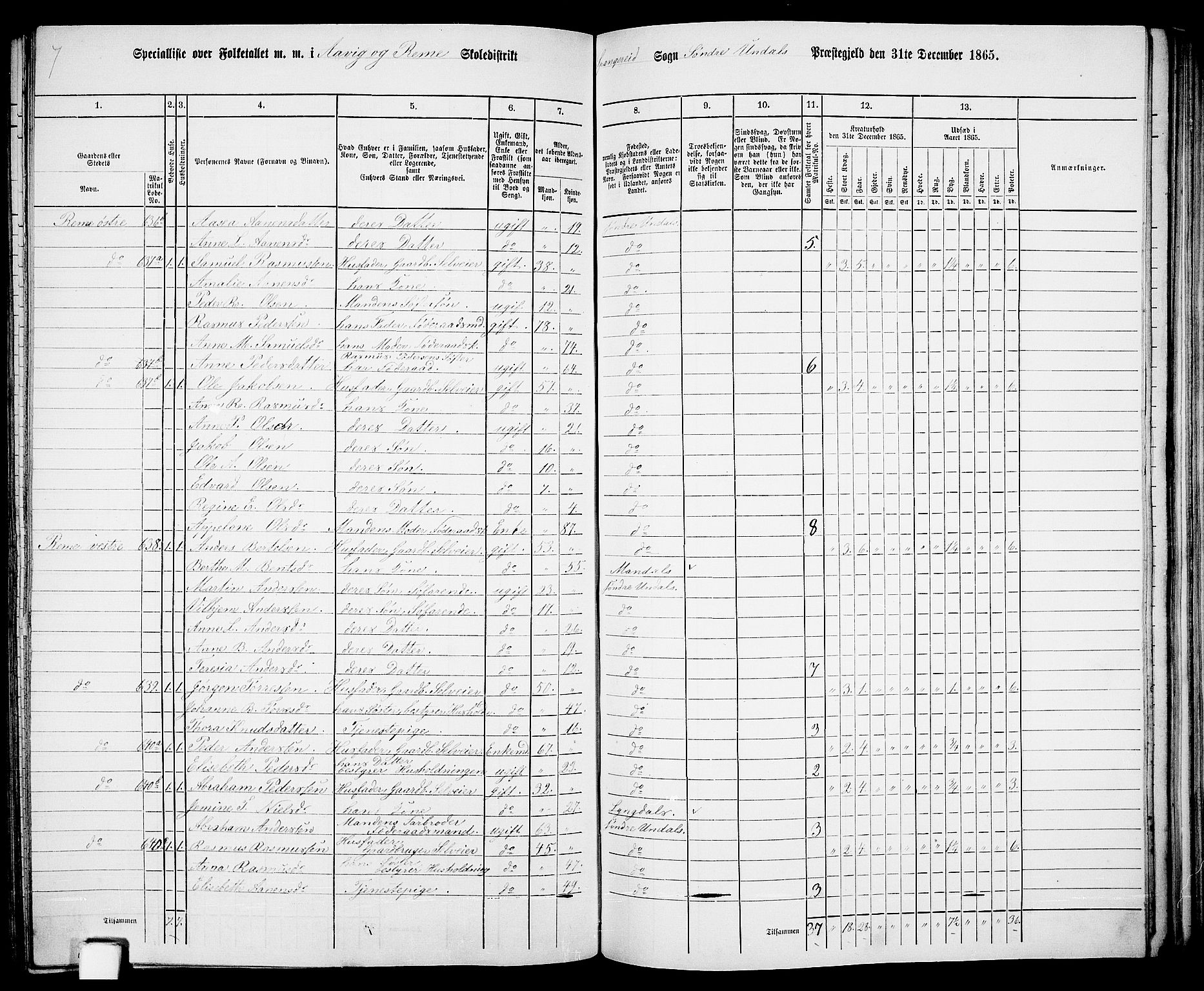 RA, 1865 census for Sør-Audnedal, 1865, p. 146