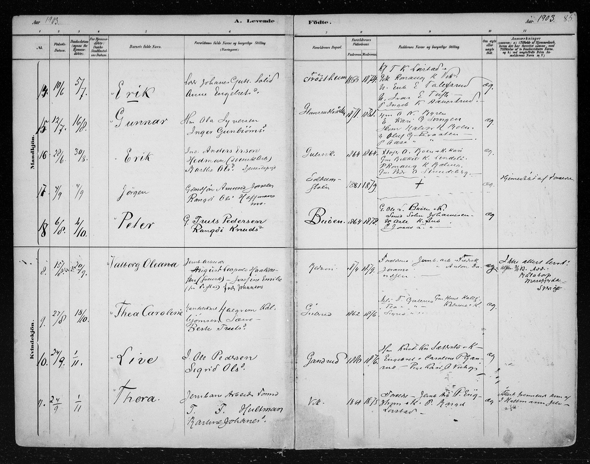 Nes kirkebøker, SAKO/A-236/F/Fa/L0012: Parish register (official) no. 12, 1881-1917, p. 85