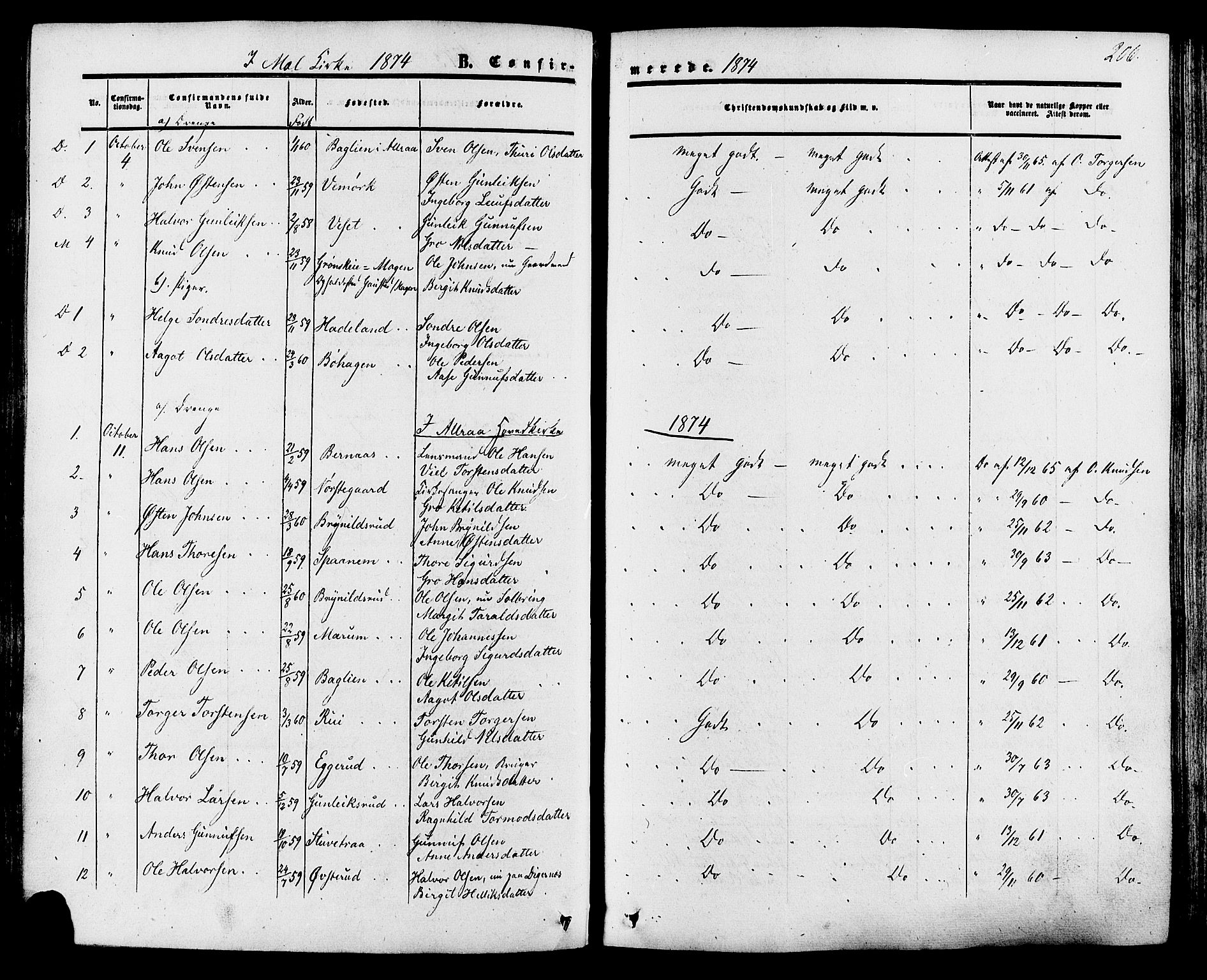Tinn kirkebøker, SAKO/A-308/F/Fa/L0006: Parish register (official) no. I 6, 1857-1878, p. 206
