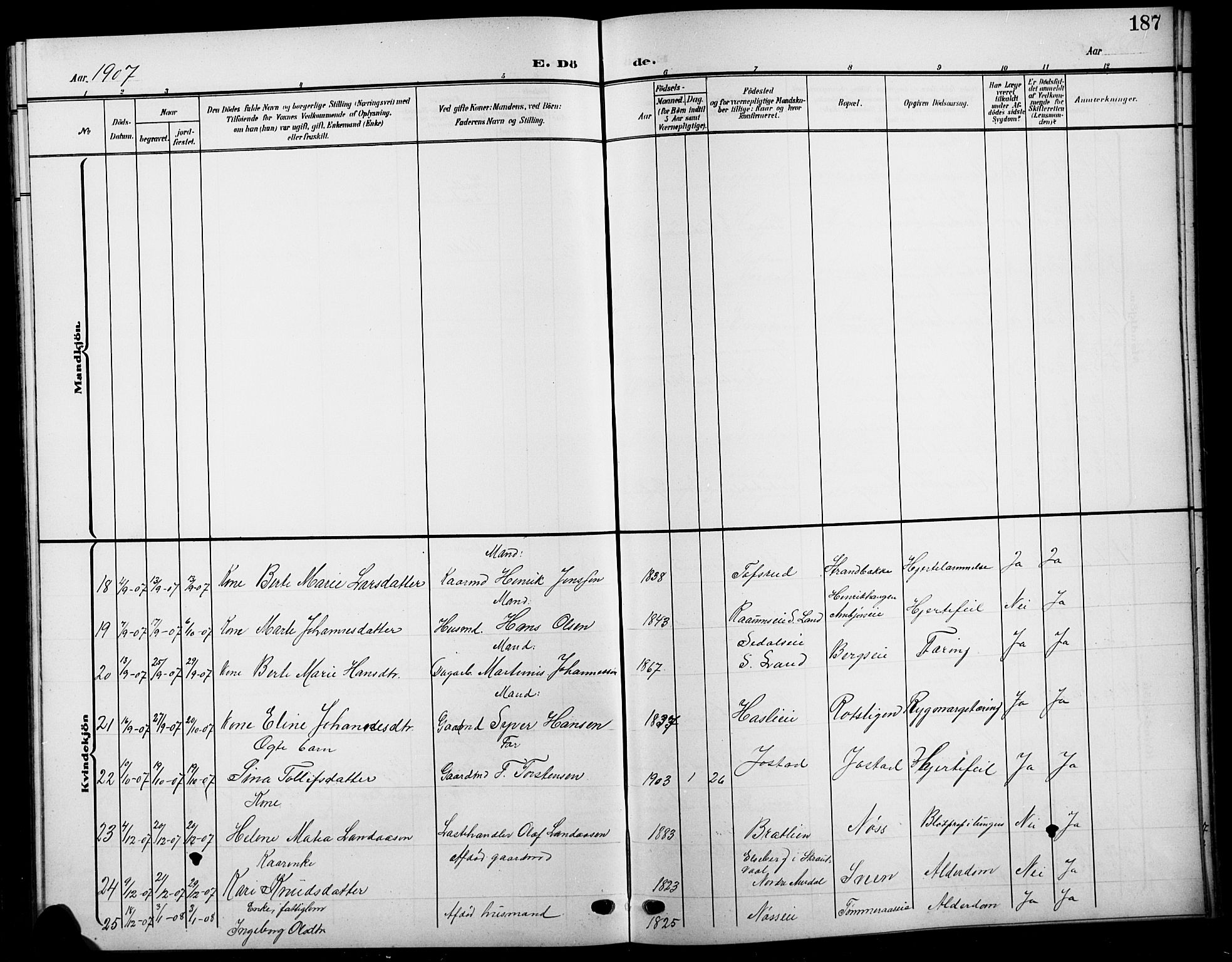 Biri prestekontor, SAH/PREST-096/H/Ha/Hab/L0005: Parish register (copy) no. 5, 1906-1919, p. 187