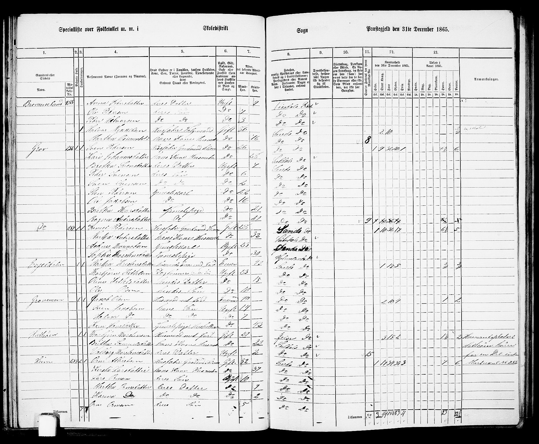 RA, 1865 census for Sand, 1865, p. 38