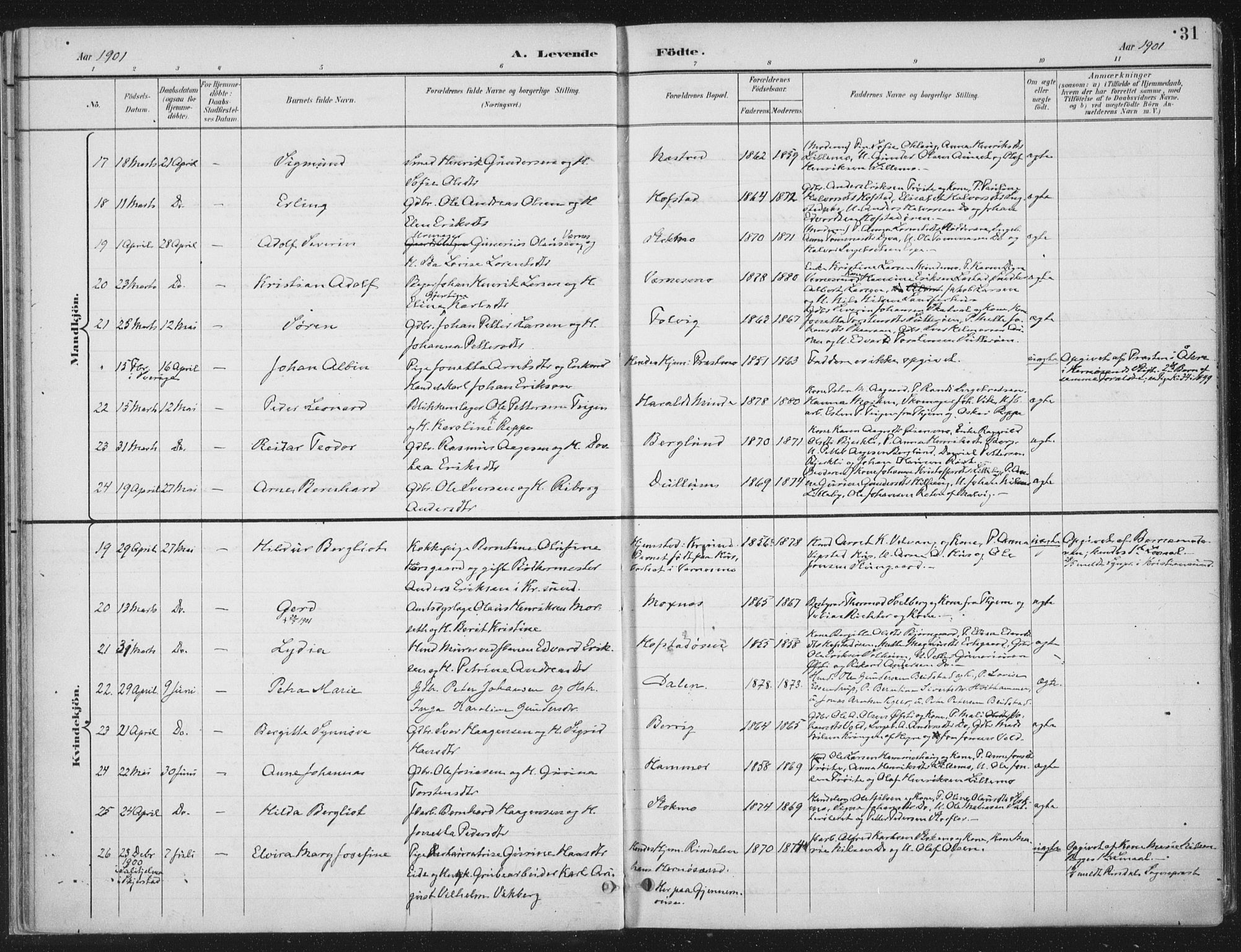 Ministerialprotokoller, klokkerbøker og fødselsregistre - Nord-Trøndelag, AV/SAT-A-1458/709/L0082: Parish register (official) no. 709A22, 1896-1916, p. 31