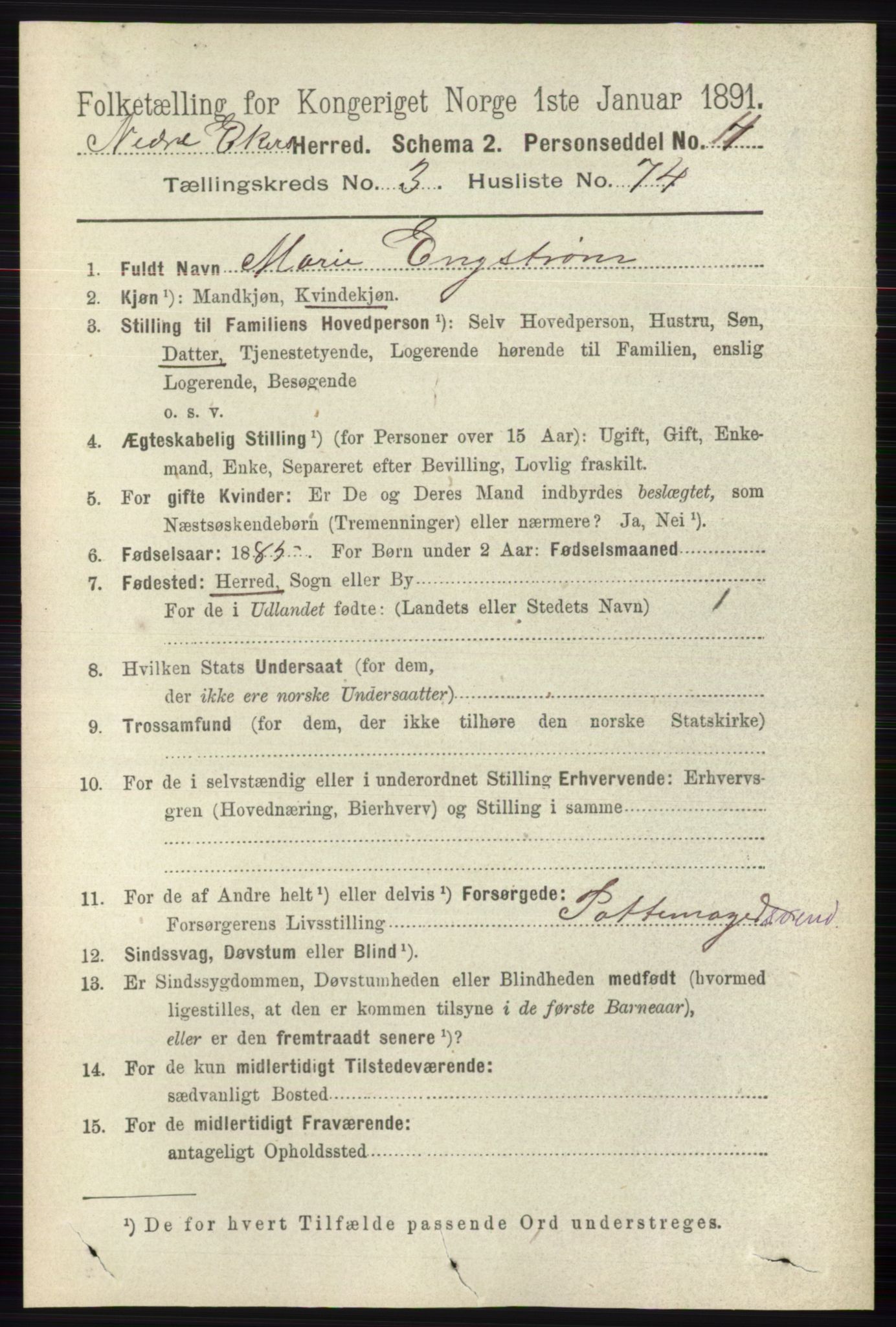 RA, 1891 census for 0625 Nedre Eiker, 1891, p. 1605