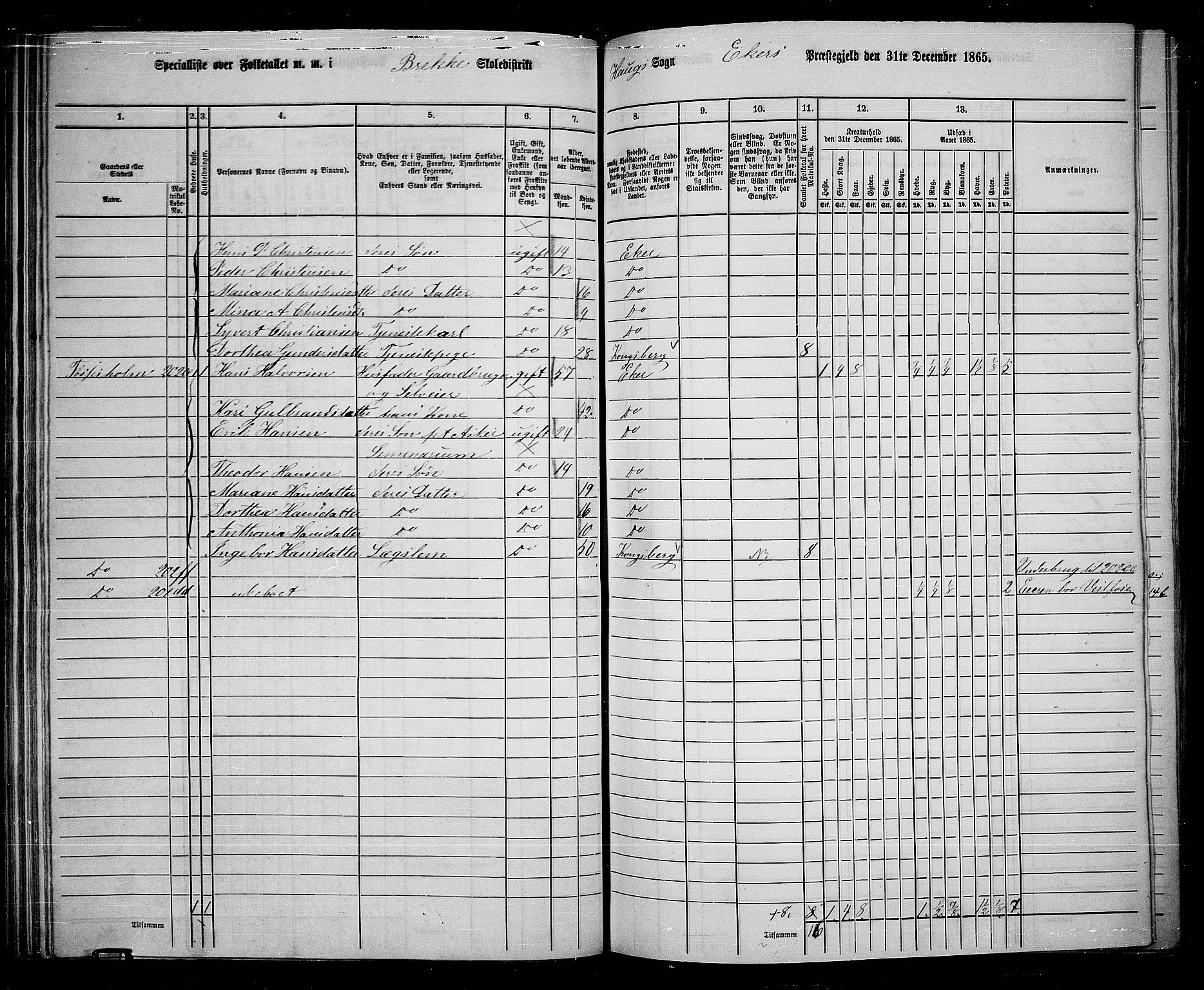 RA, 1865 census for Eiker, 1865, p. 81