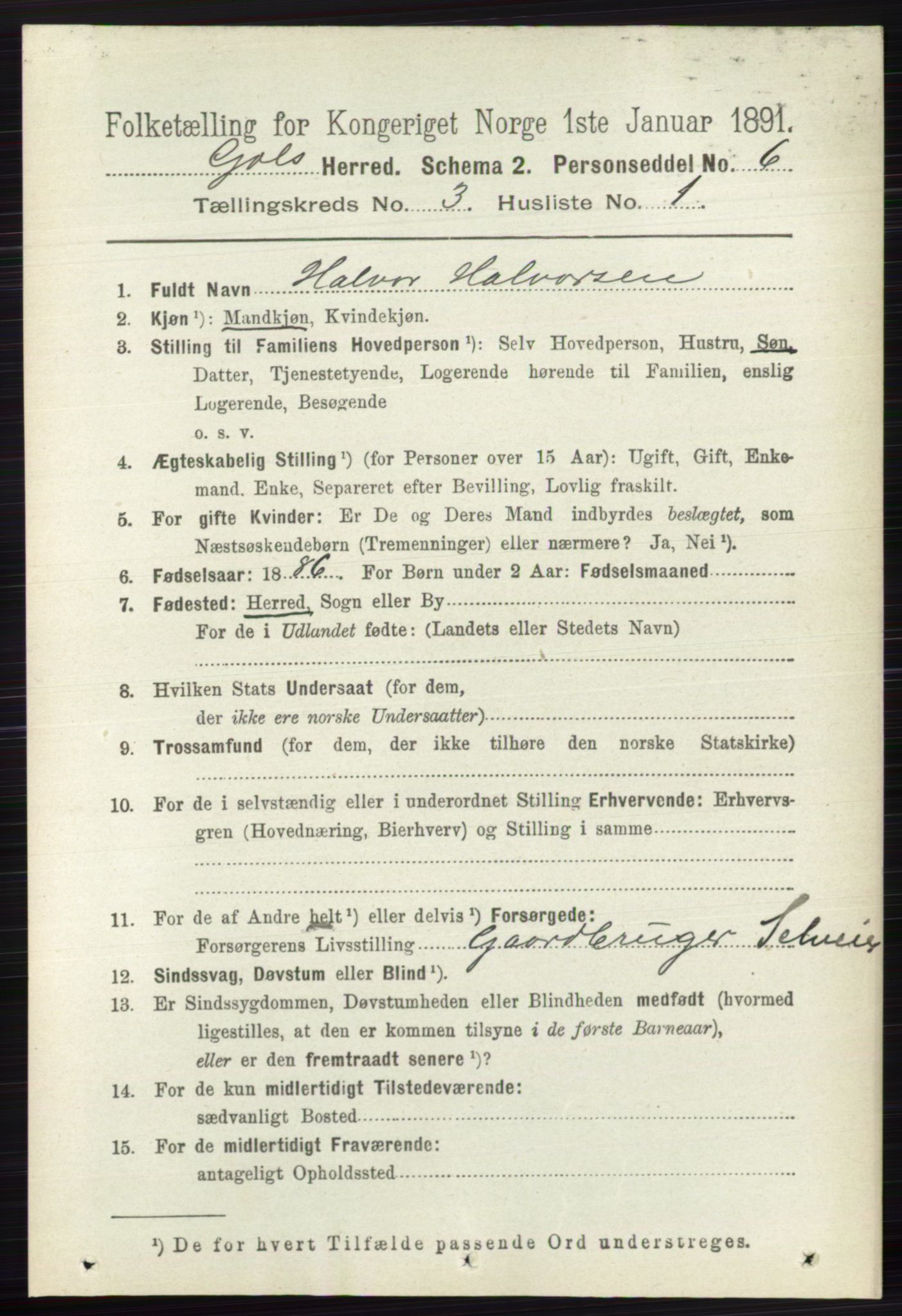 RA, 1891 census for 0617 Gol og Hemsedal, 1891, p. 1278