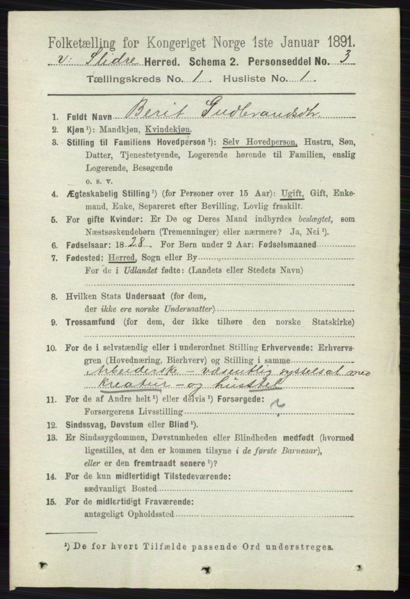 RA, 1891 census for 0543 Vestre Slidre, 1891, p. 101